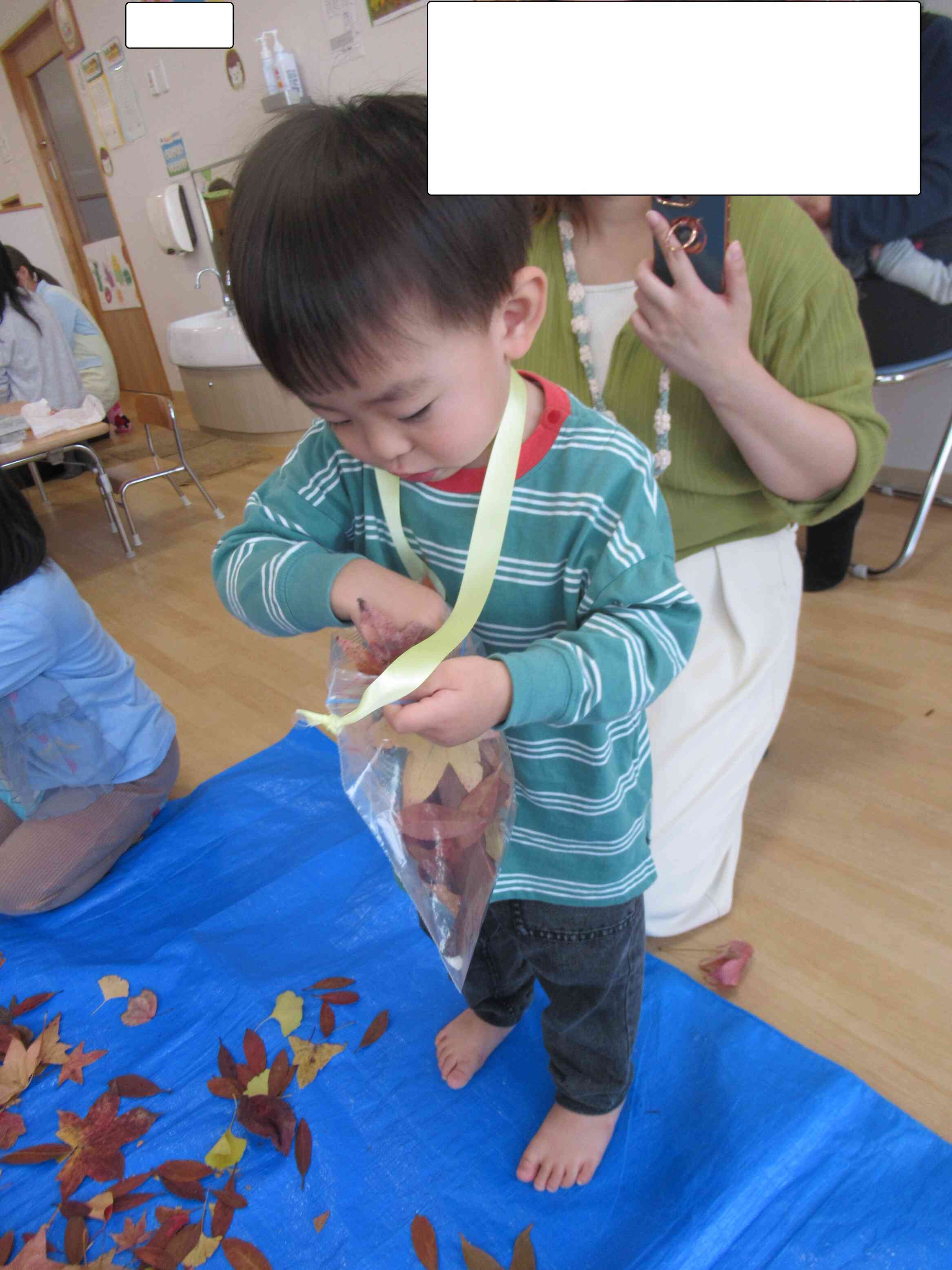 葉っぱでいっぱい☆