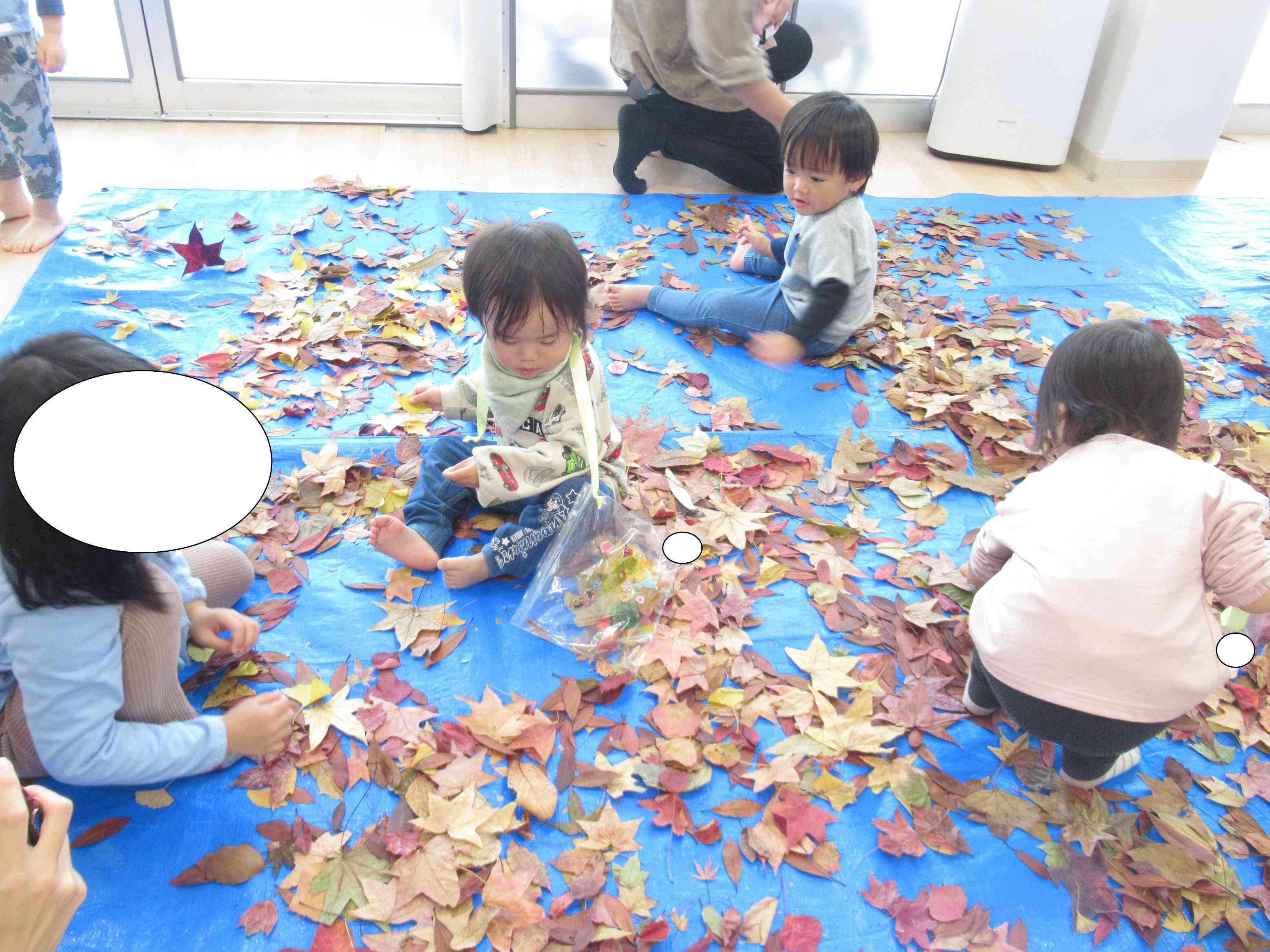 ☆保育参加①☆