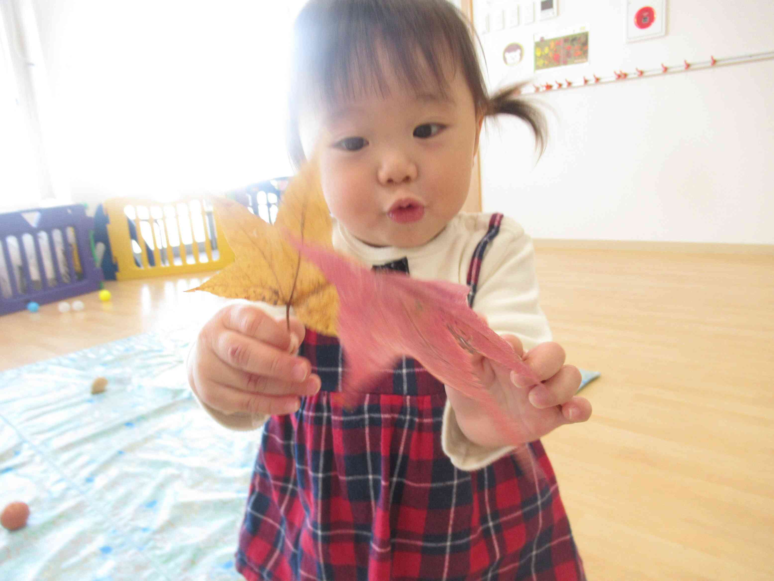 子どもたちの様子（土曜保育より）