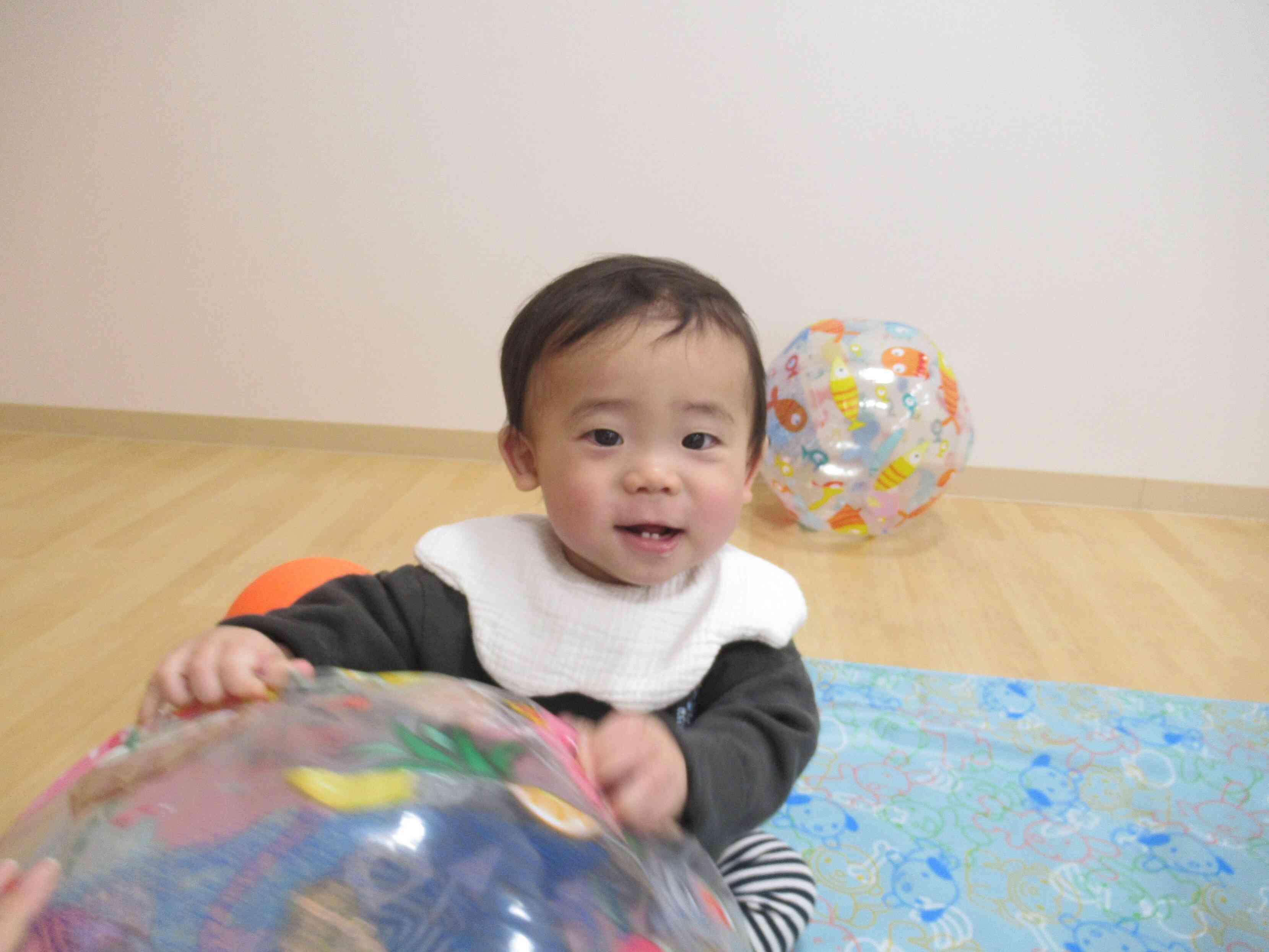 新しいお友だちです♪