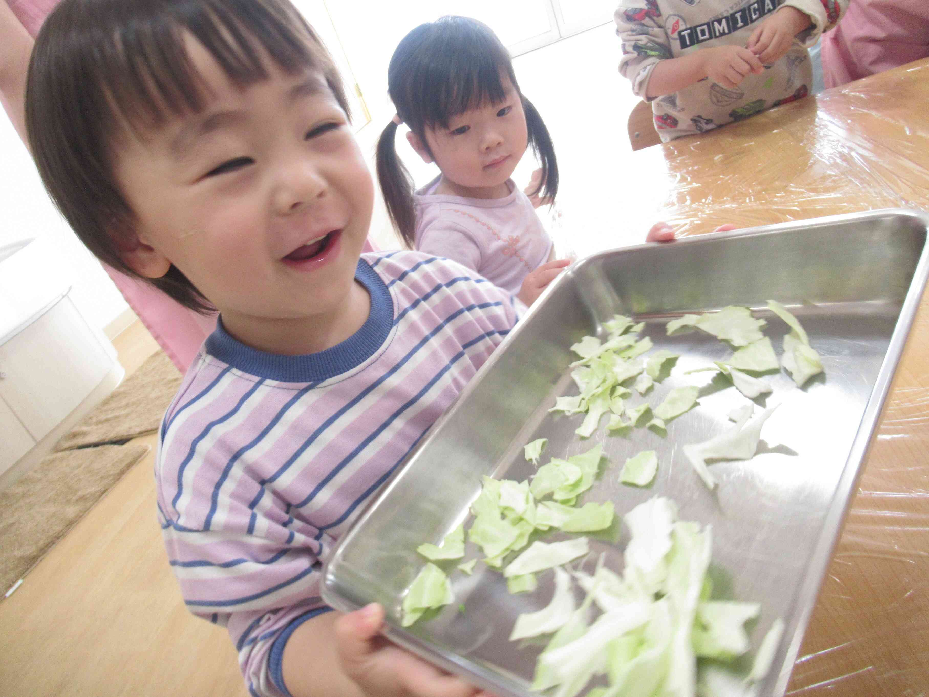 食育～キャベツちぎりをしよう～