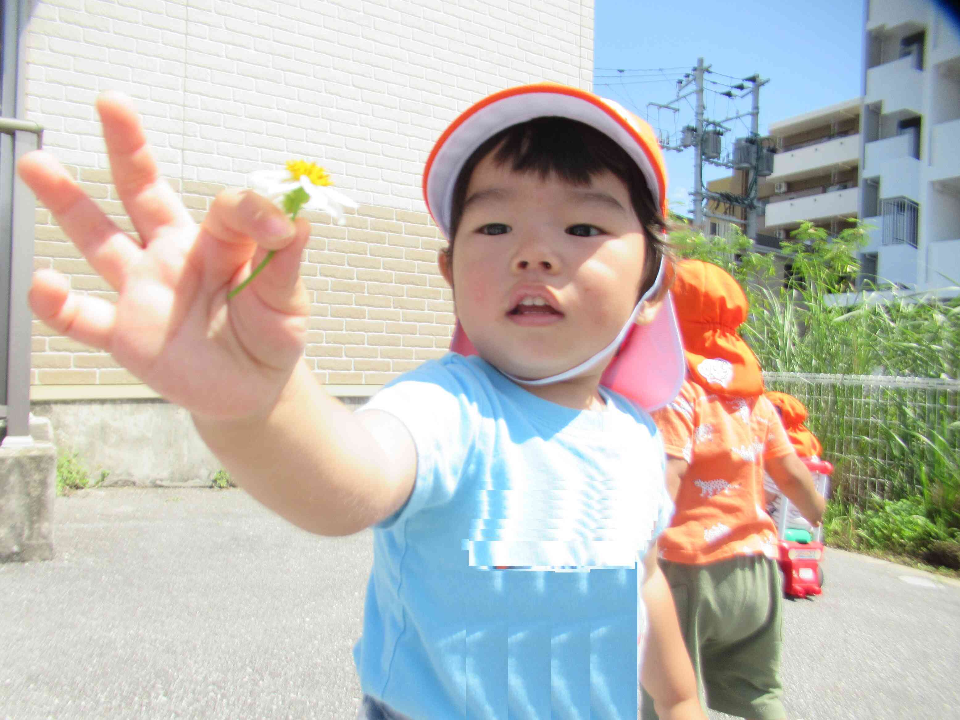 お花を見つけたよ！