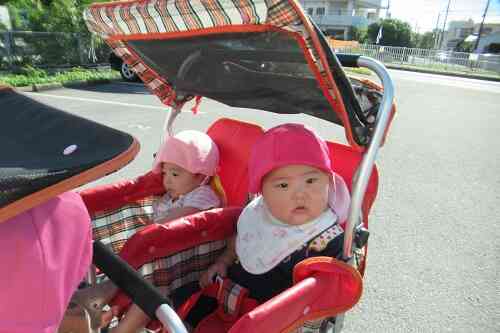 散歩はたのしいね♪　ひよこ組