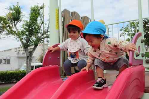 マンタ公園へ散歩♪　今週の様子