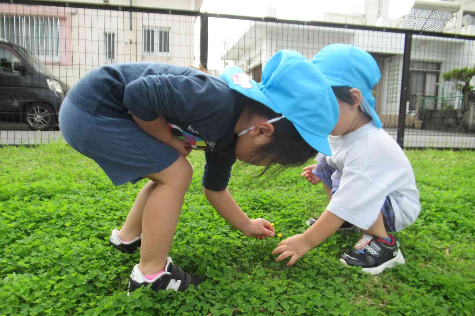 こっちにもお花があるよ！