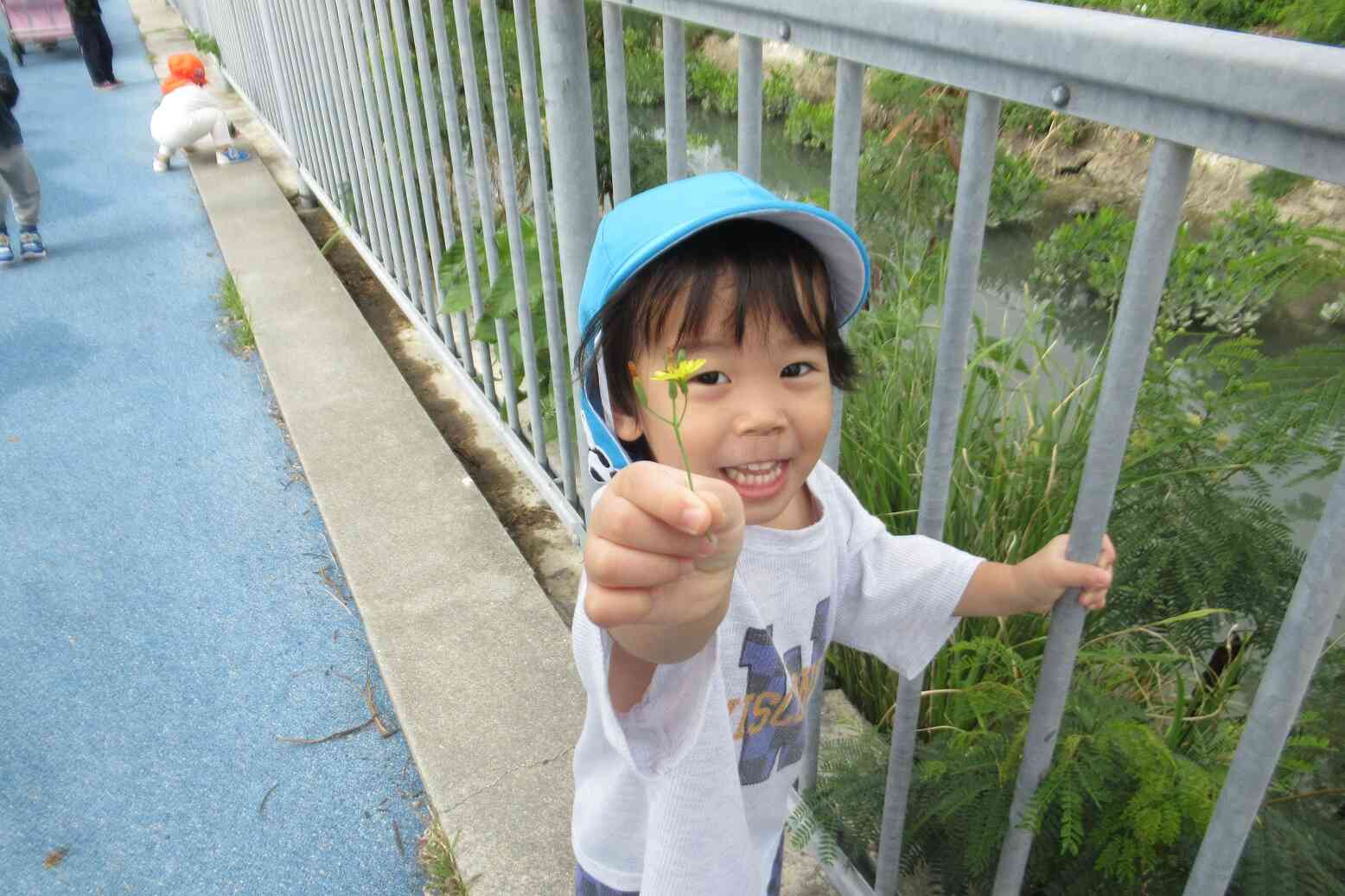 遊歩道へお散歩に行ったよ！　（あひる組・うさぎ組）