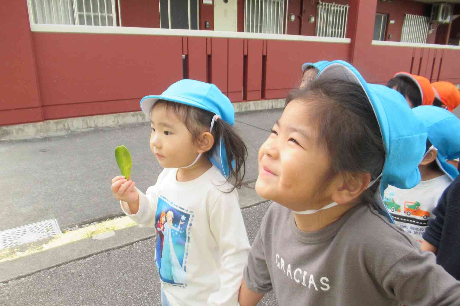 お散歩は発見がいっぱい！　うさぎ組