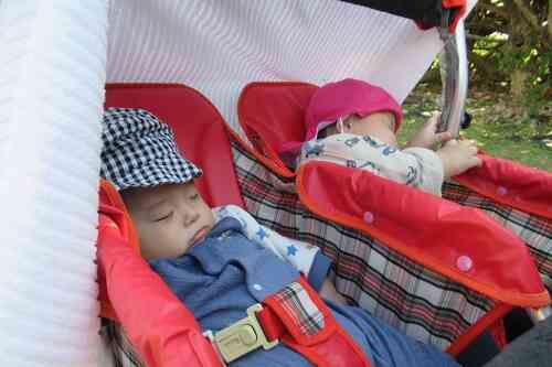 ひよこ組さんは、カートに揺られて気持ちいい～♪