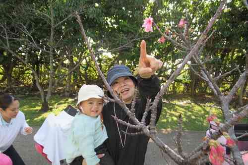 桜咲いたよ～♪