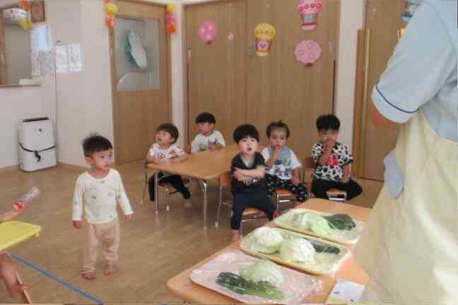 食育「野菜ちぎり」