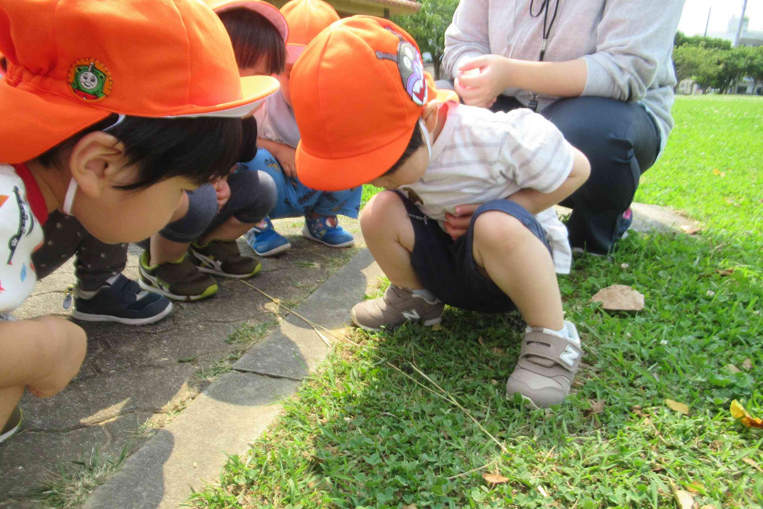 お散歩に行きました(うさぎ組）