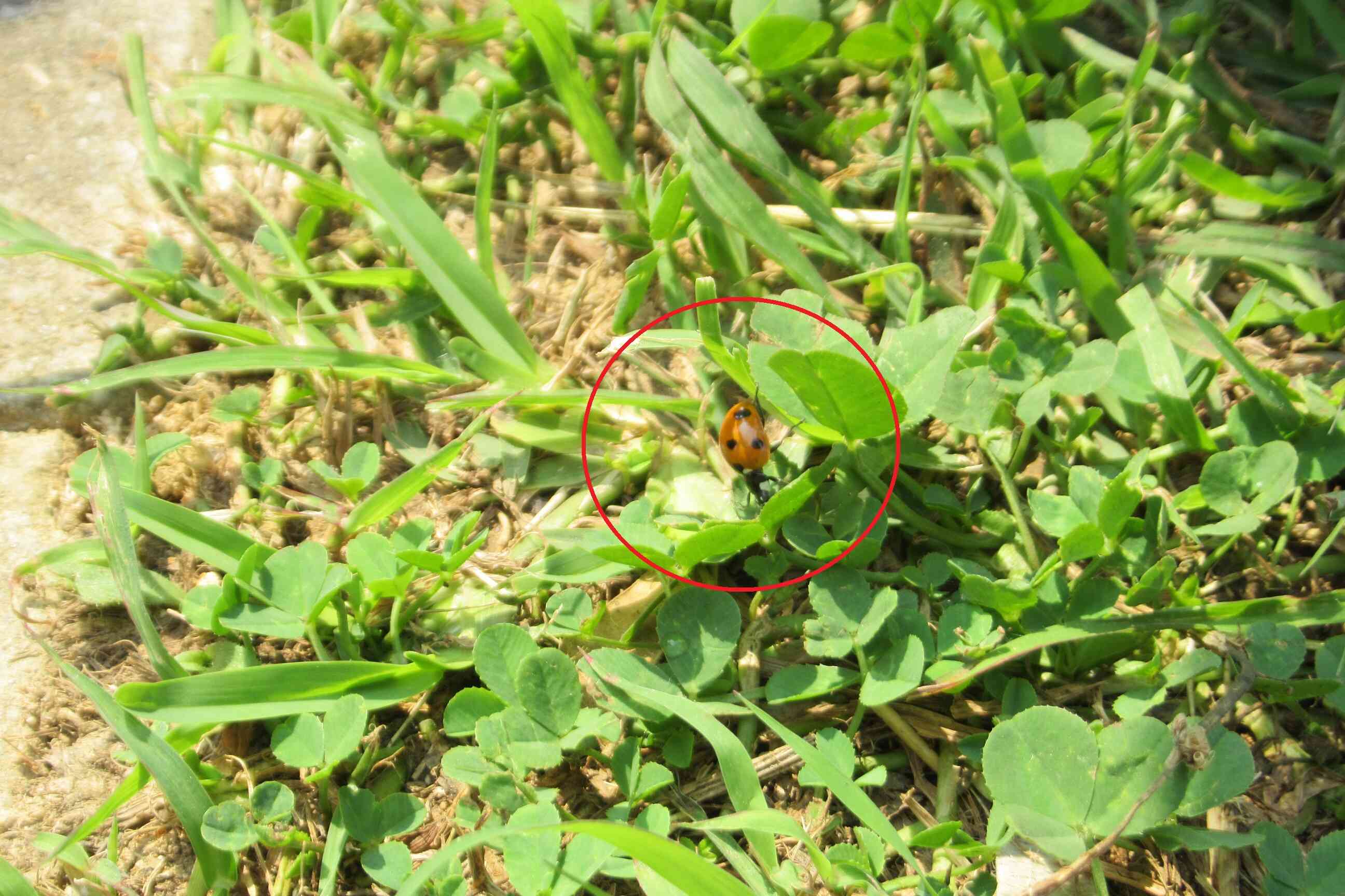 春が来ました！！