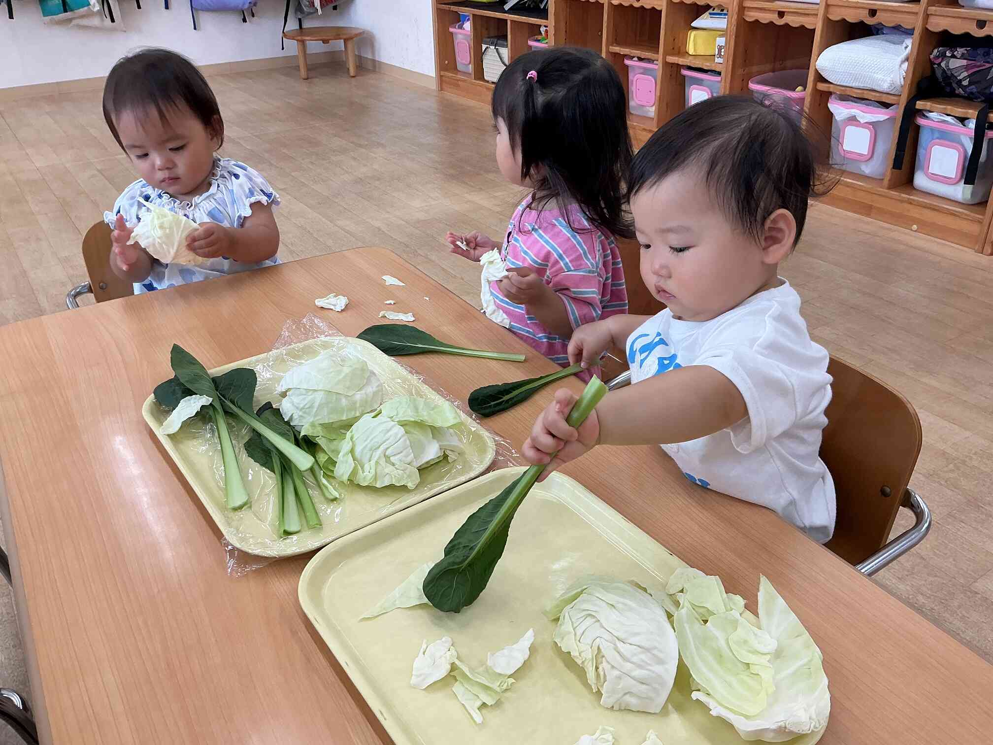 キャベツ？小松菜？どっちかな？