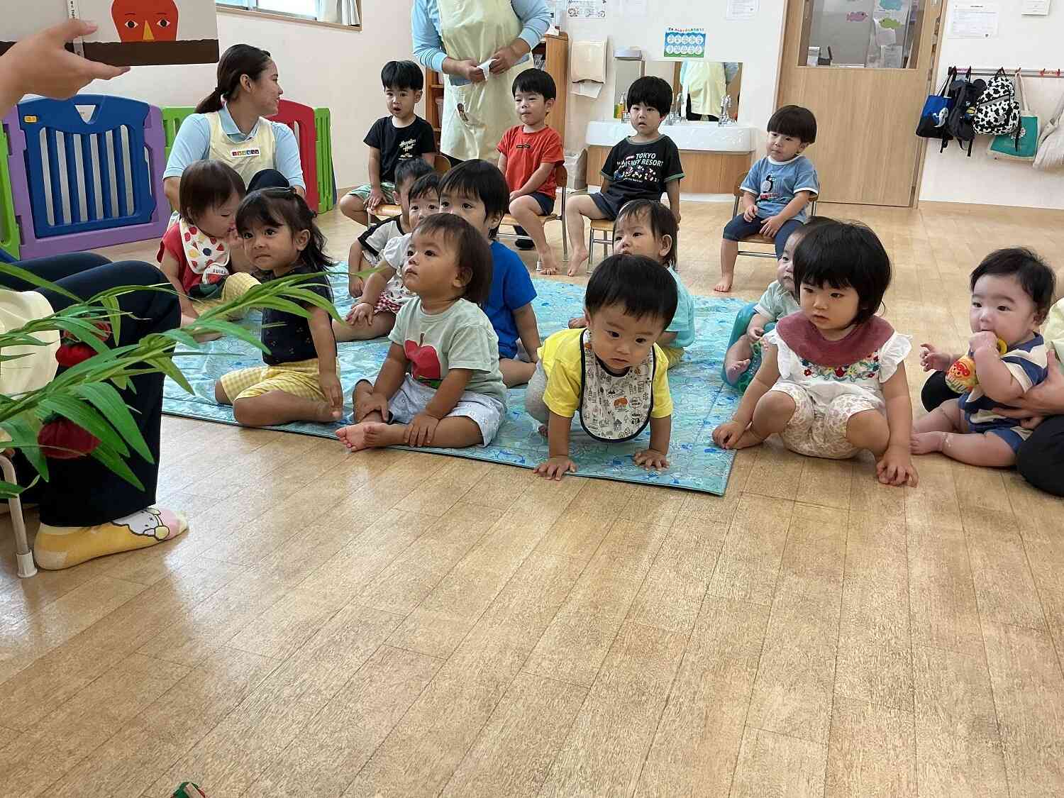 食育「野菜の収穫体験」