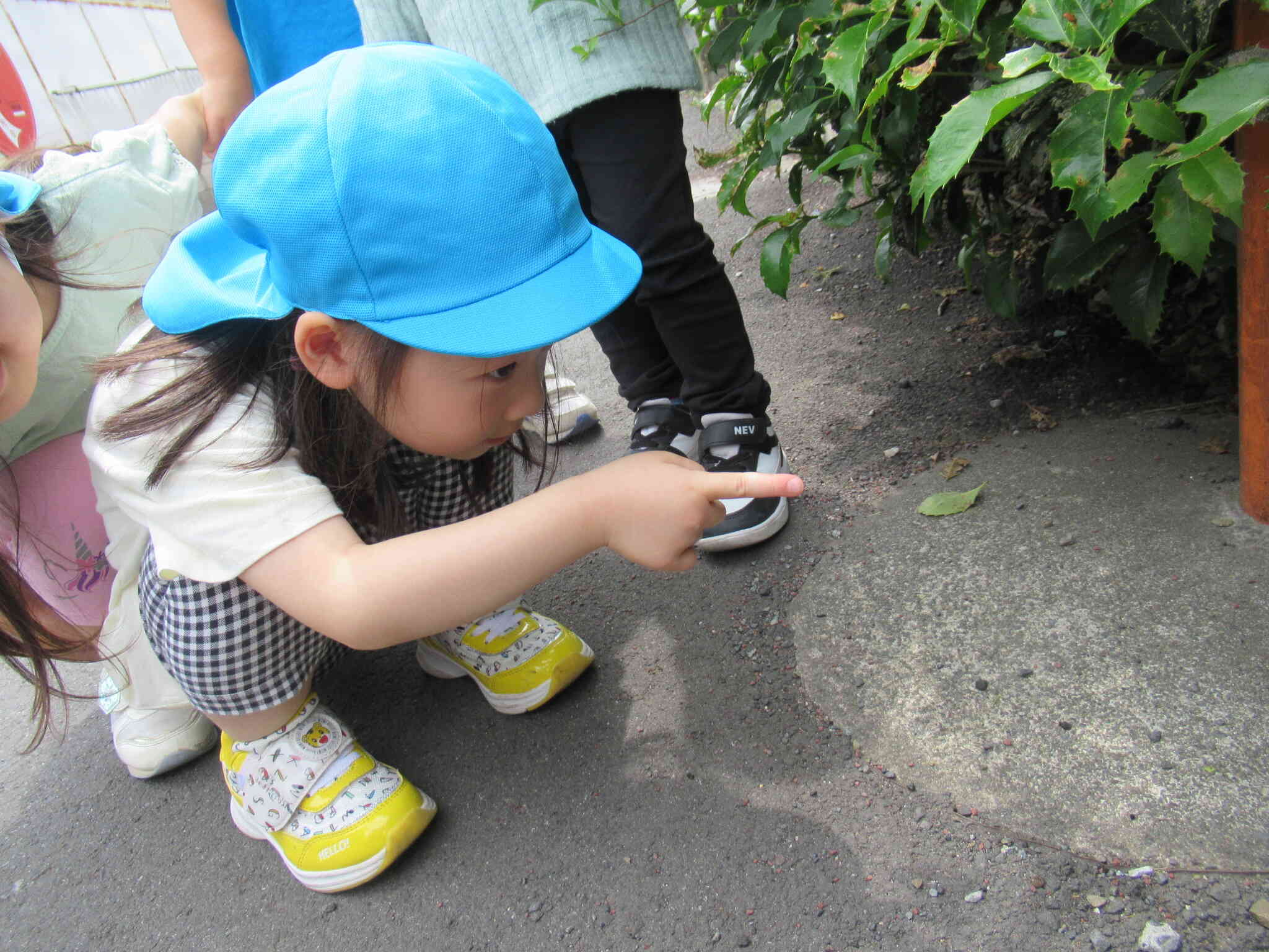 3歳児（りす組）園庭散策