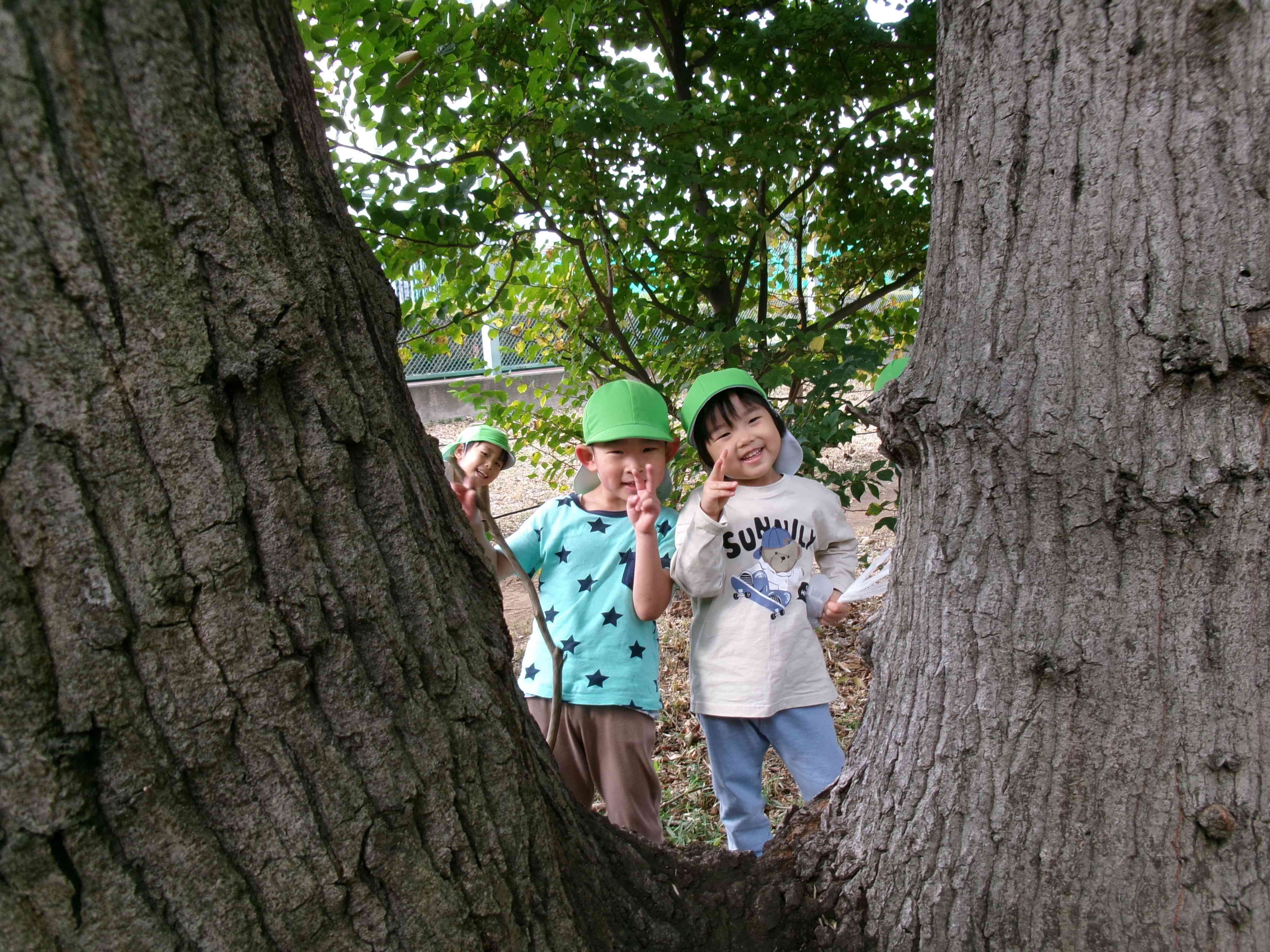 どんぐり拾い「たくさん拾ったよー！」