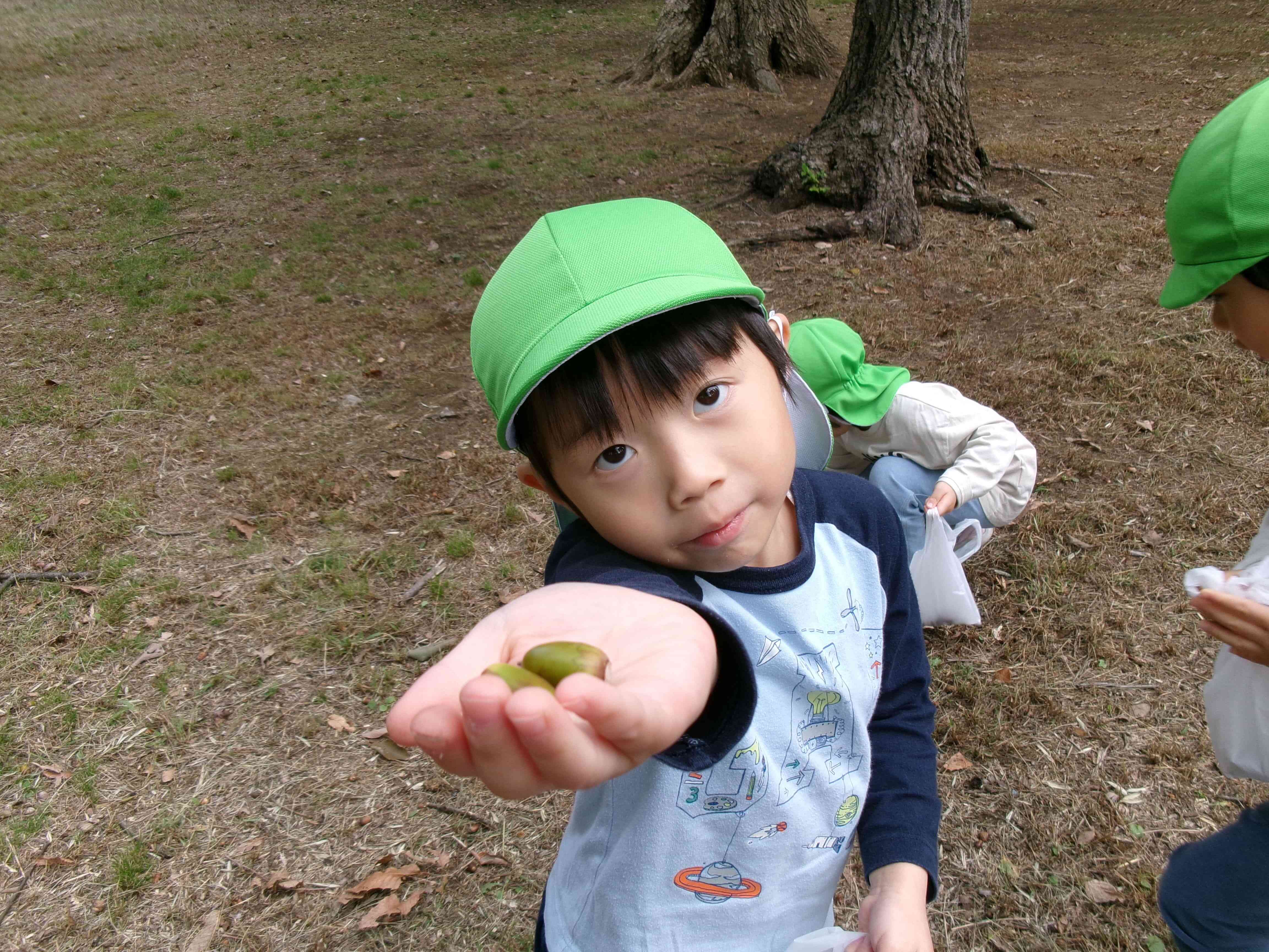 どんなどんぐりかな？