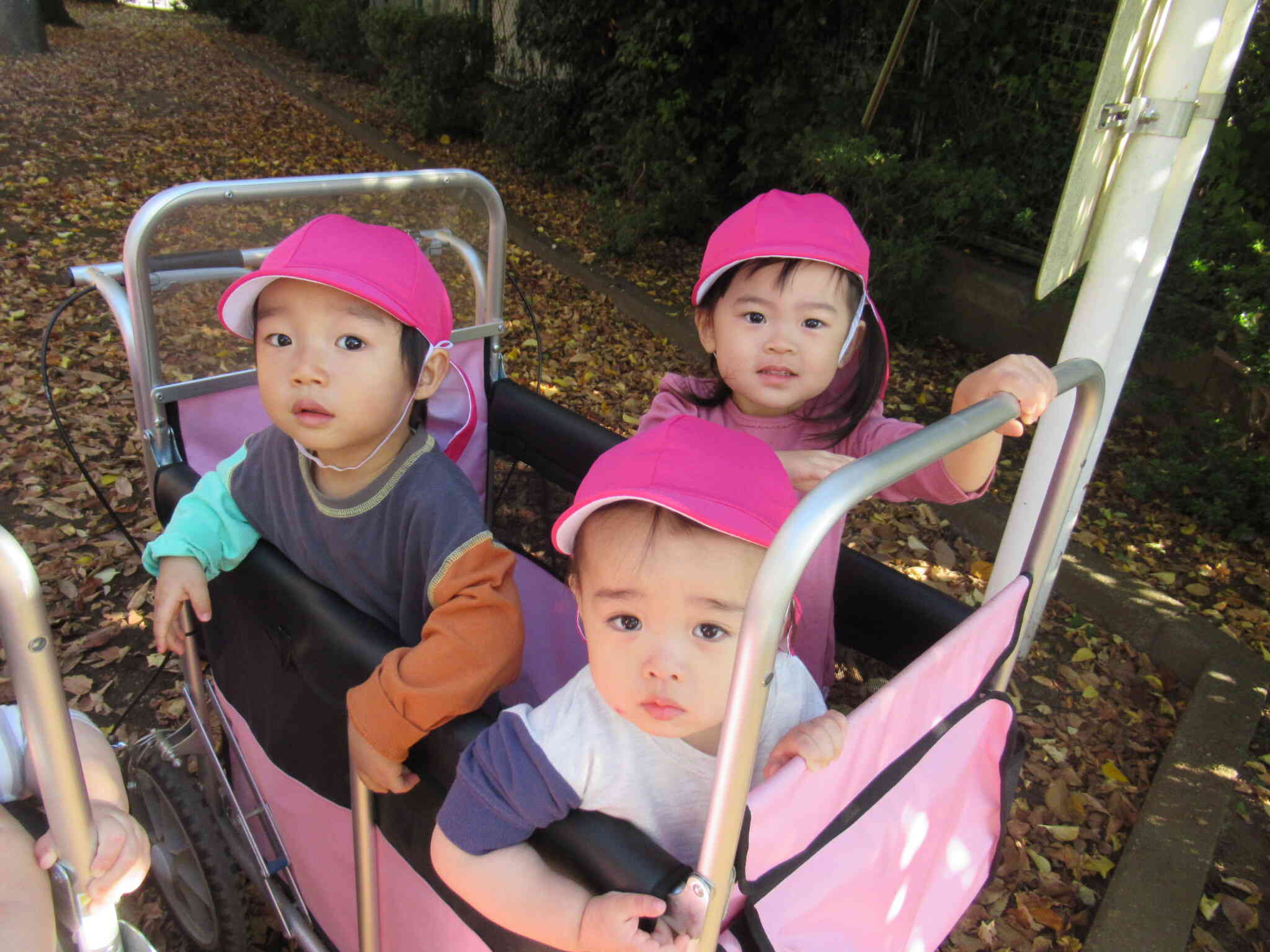 お散歩（1歳児クラス）　