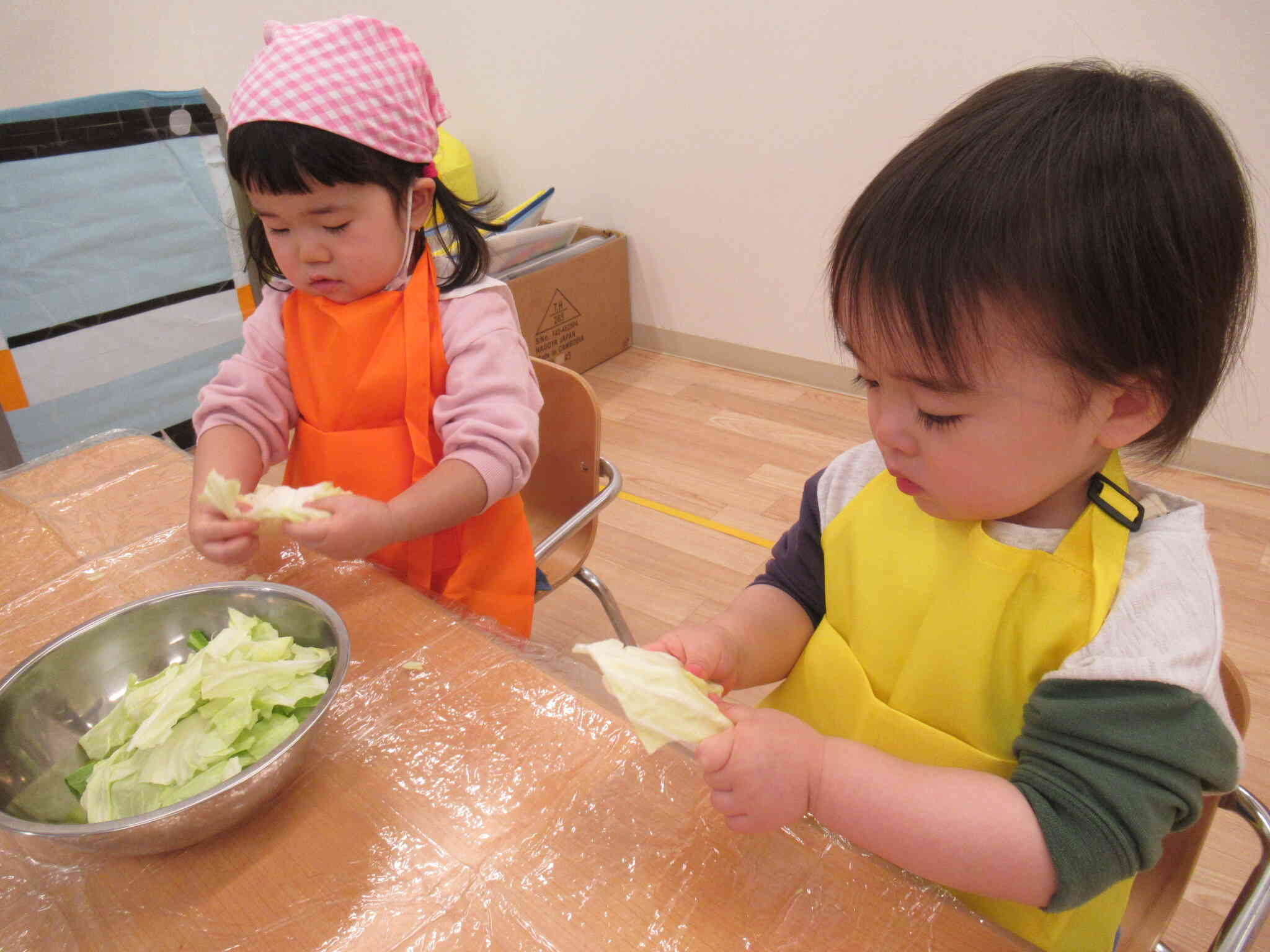 「キャベツをながめながら・・・」