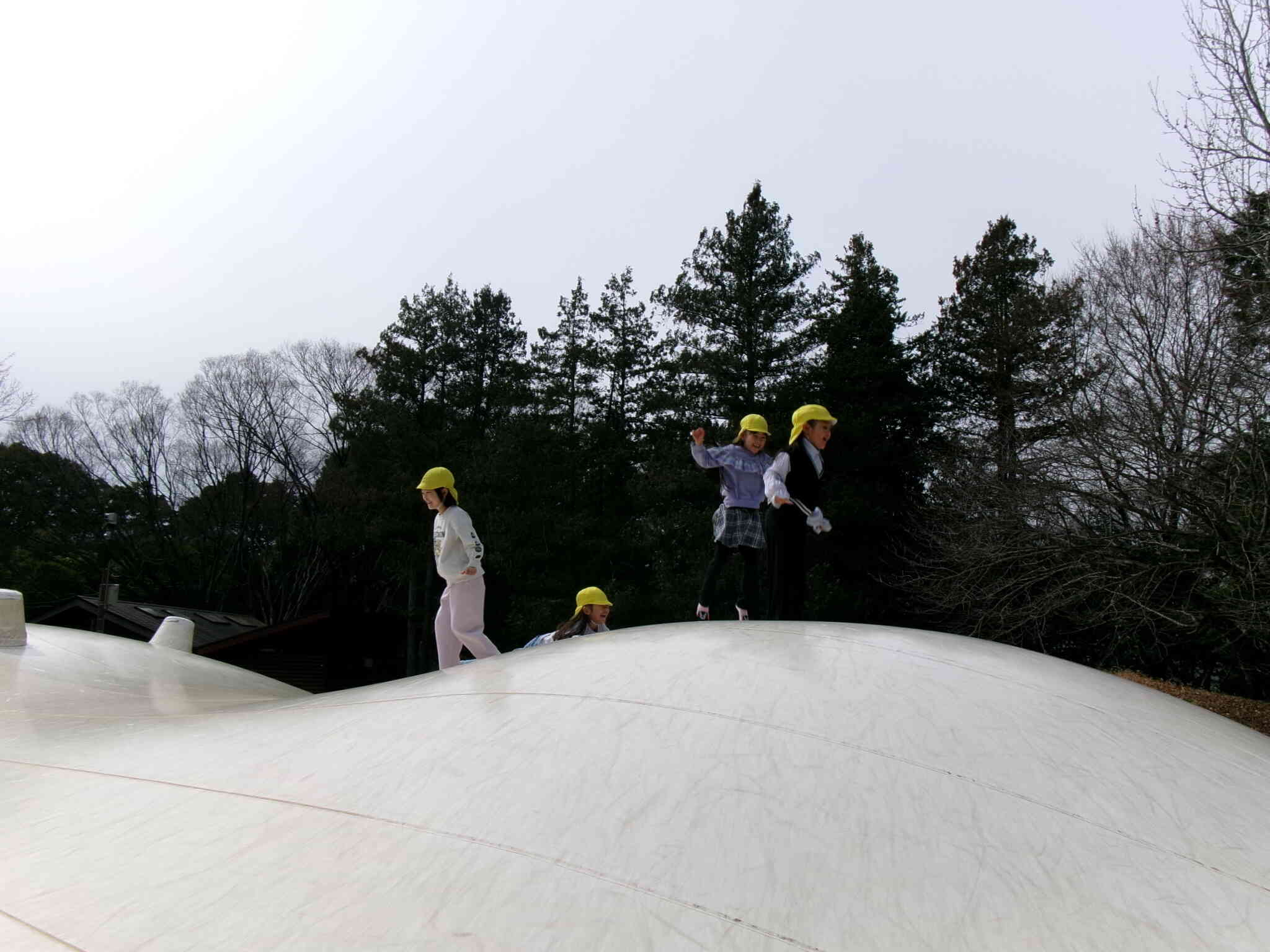 お別れ遠足(５歳児）
