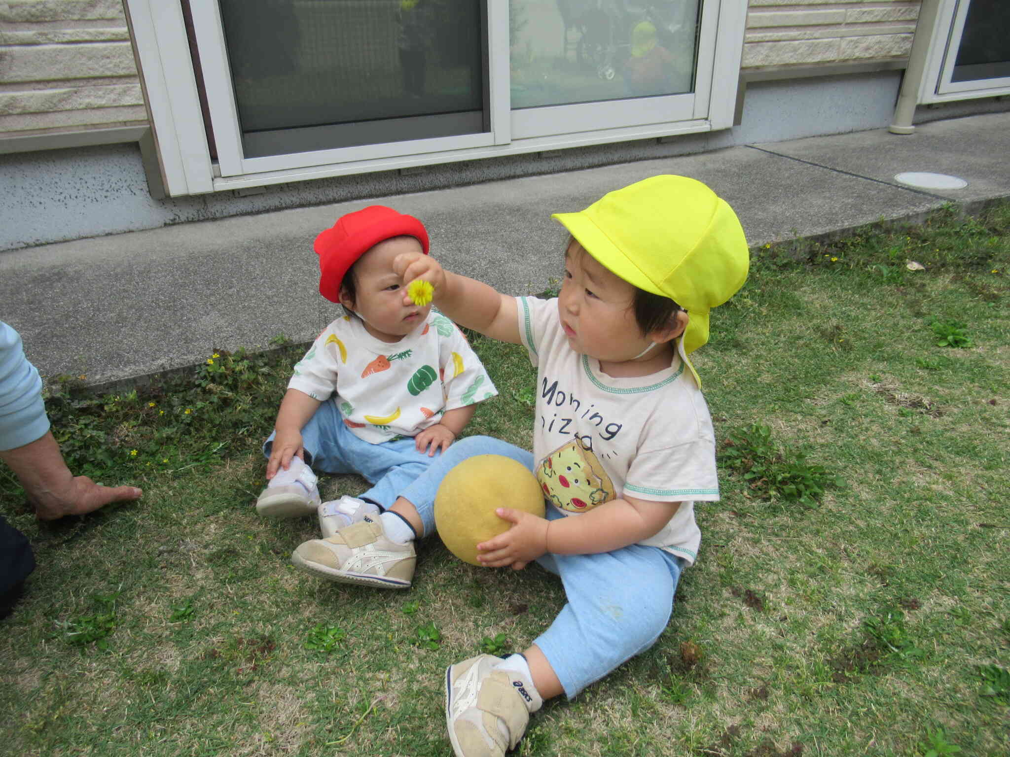 ０歳児　園庭遊び