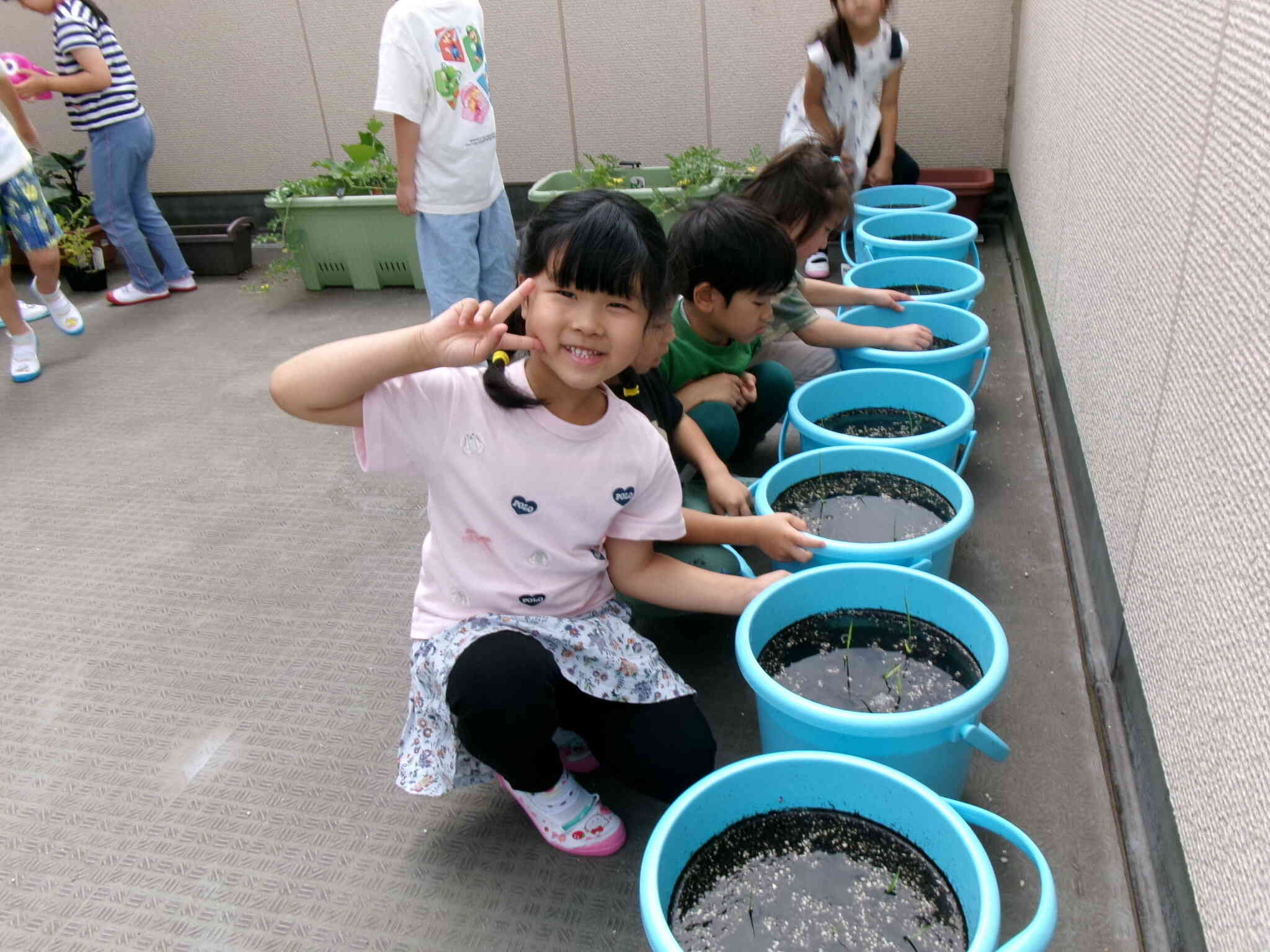 苗植えしたよ！