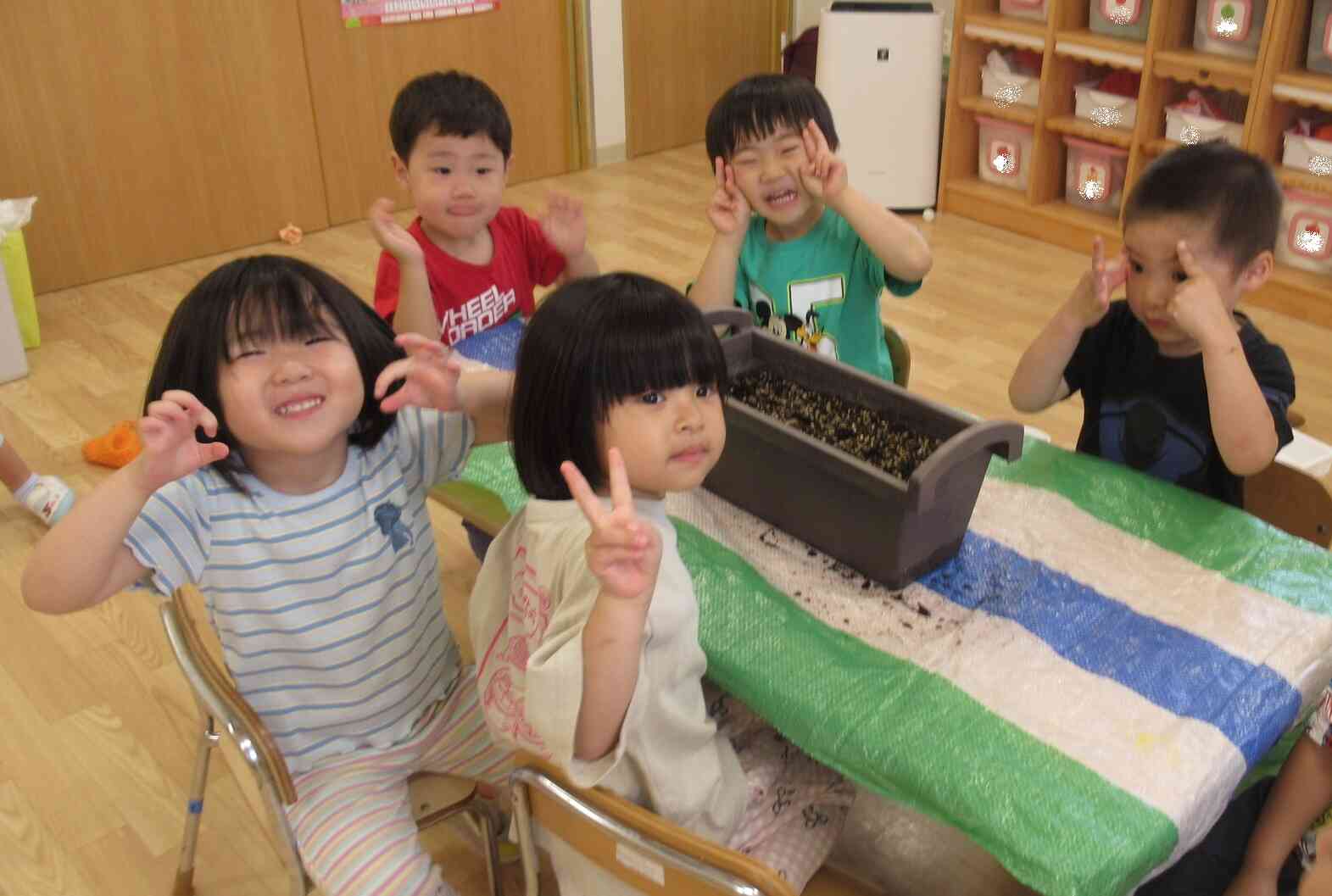種　植えたよ！
