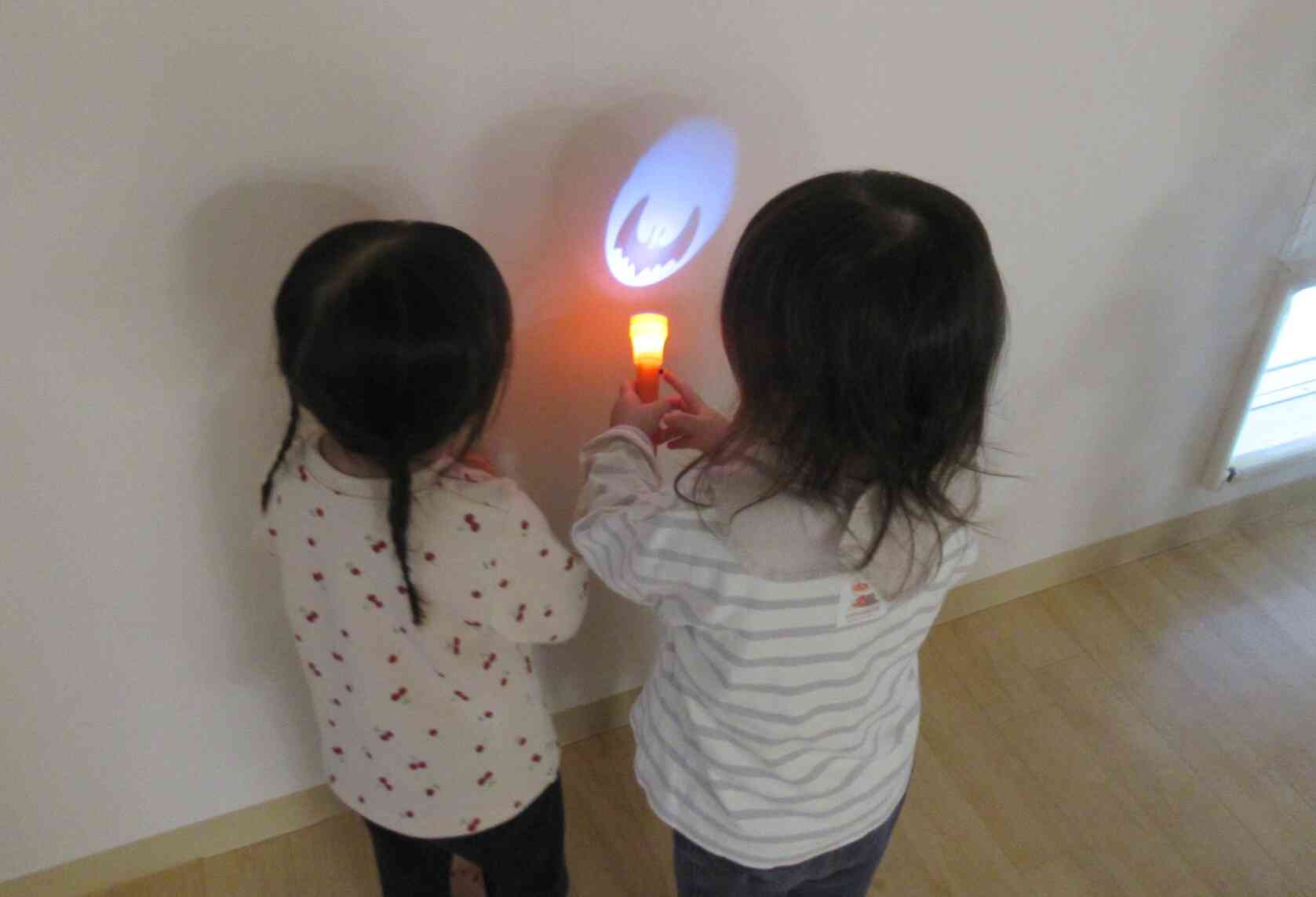 うわぁ♡壁にコウモリが!