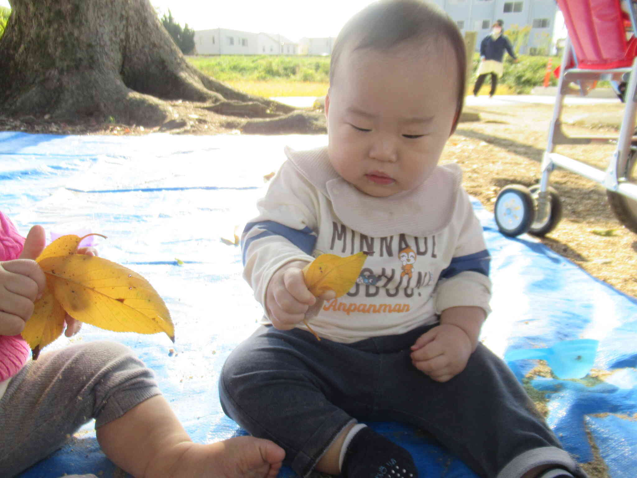 これはなにかな？