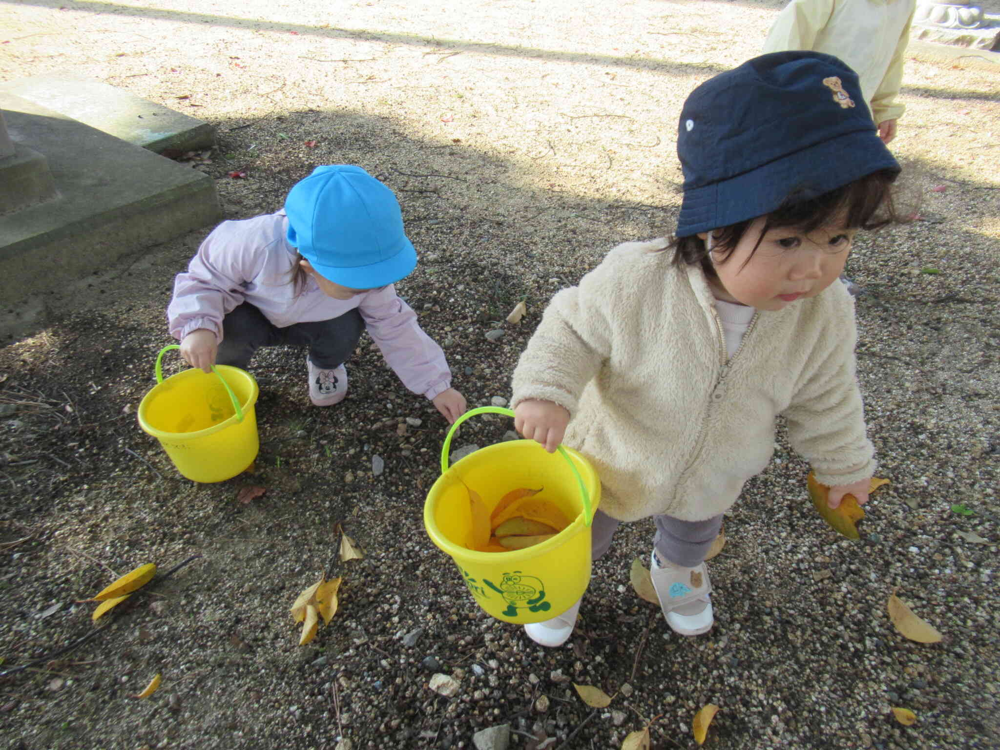 いっぱいみつけたよ