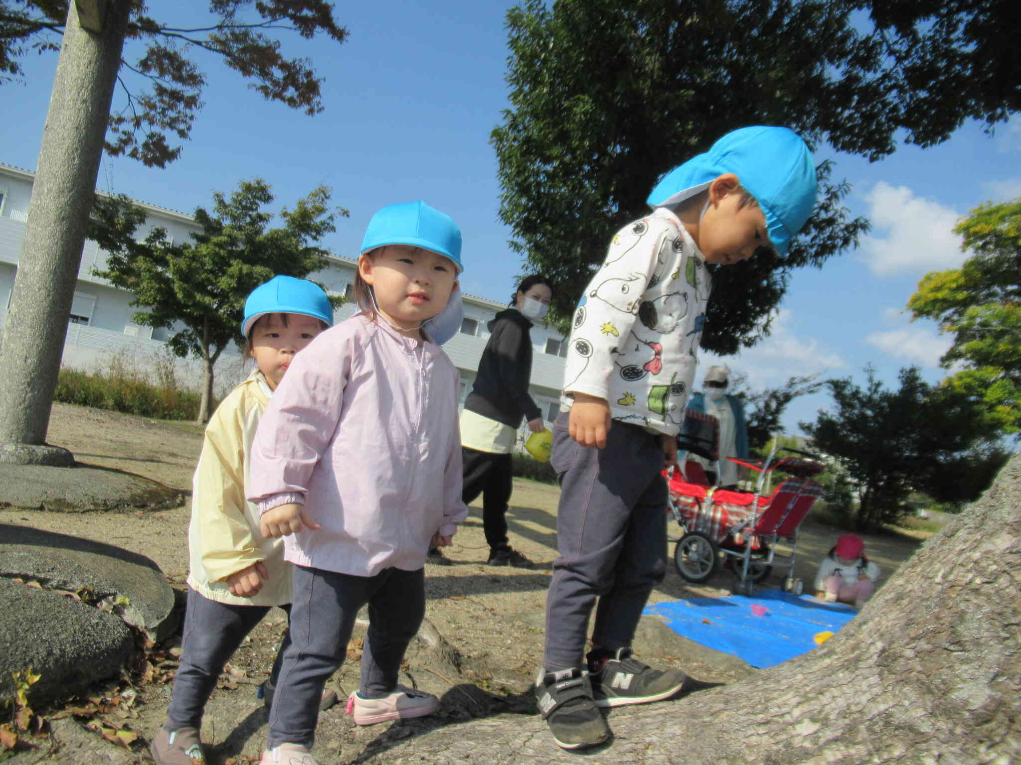 大きな根っこだなぁ。