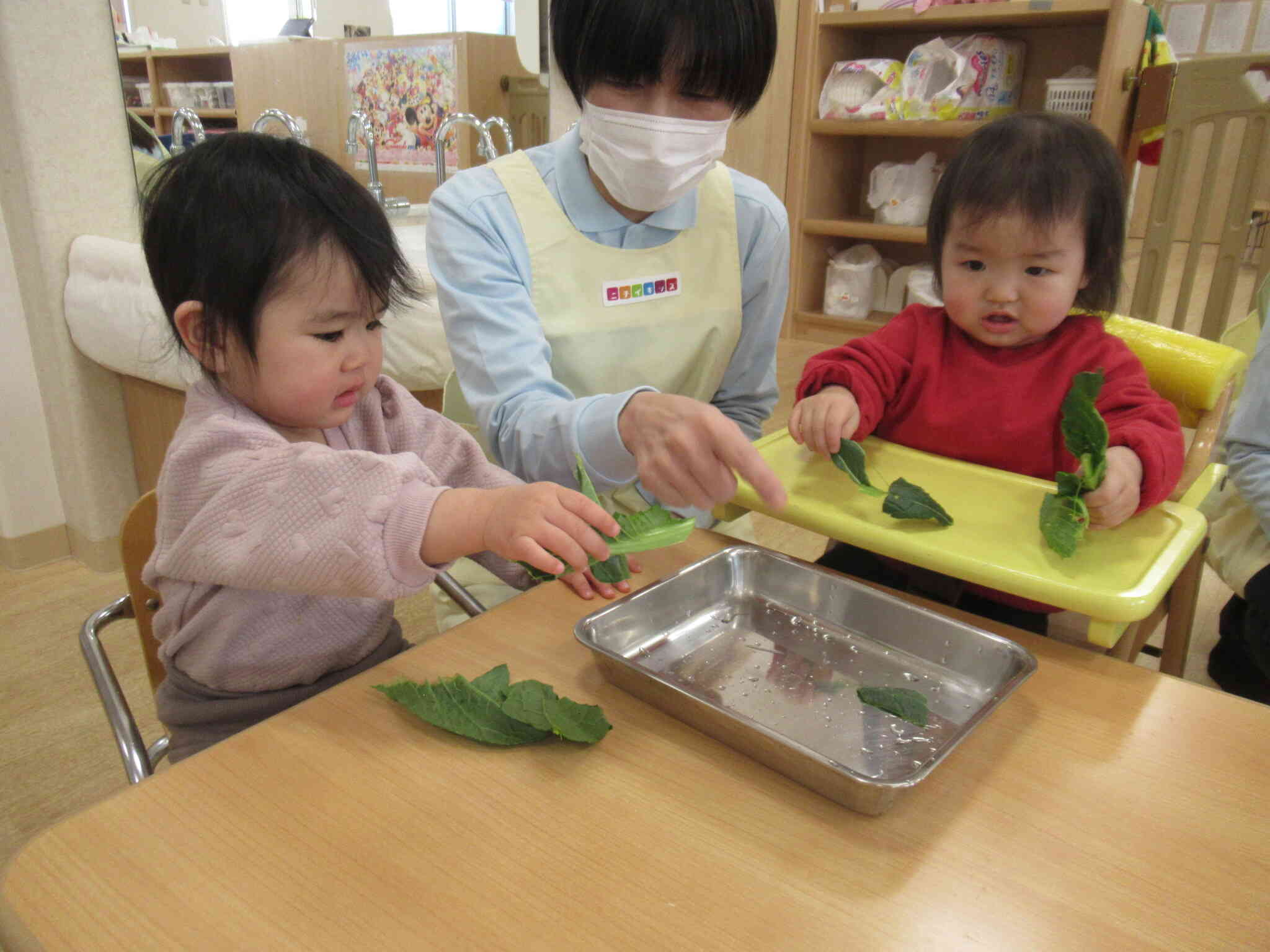 1月7日は七草の日！