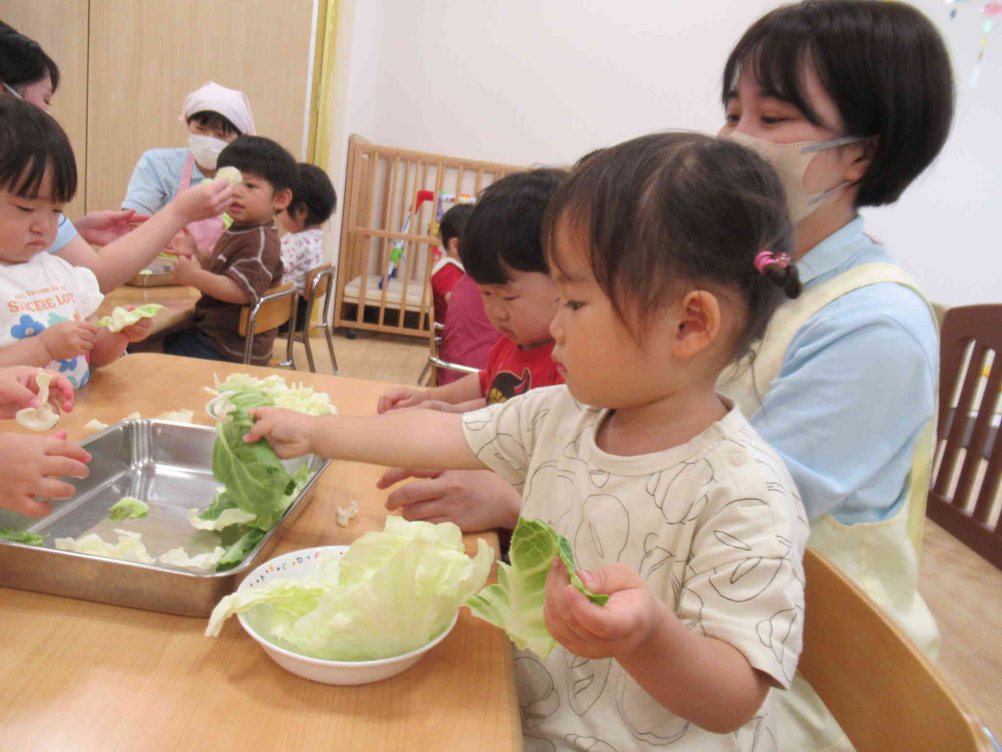 大きな葉っぱを見つけたよ！