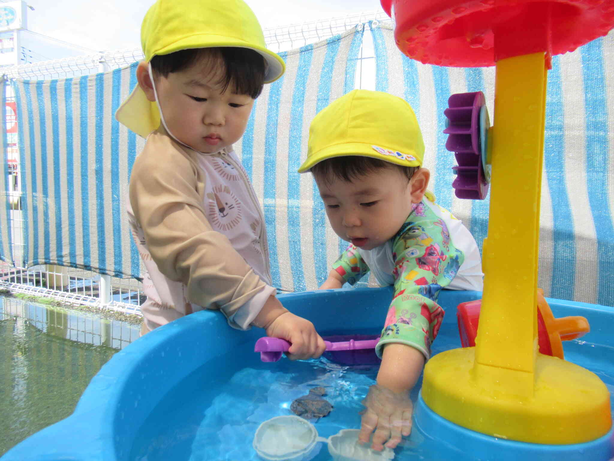 水遊び♪