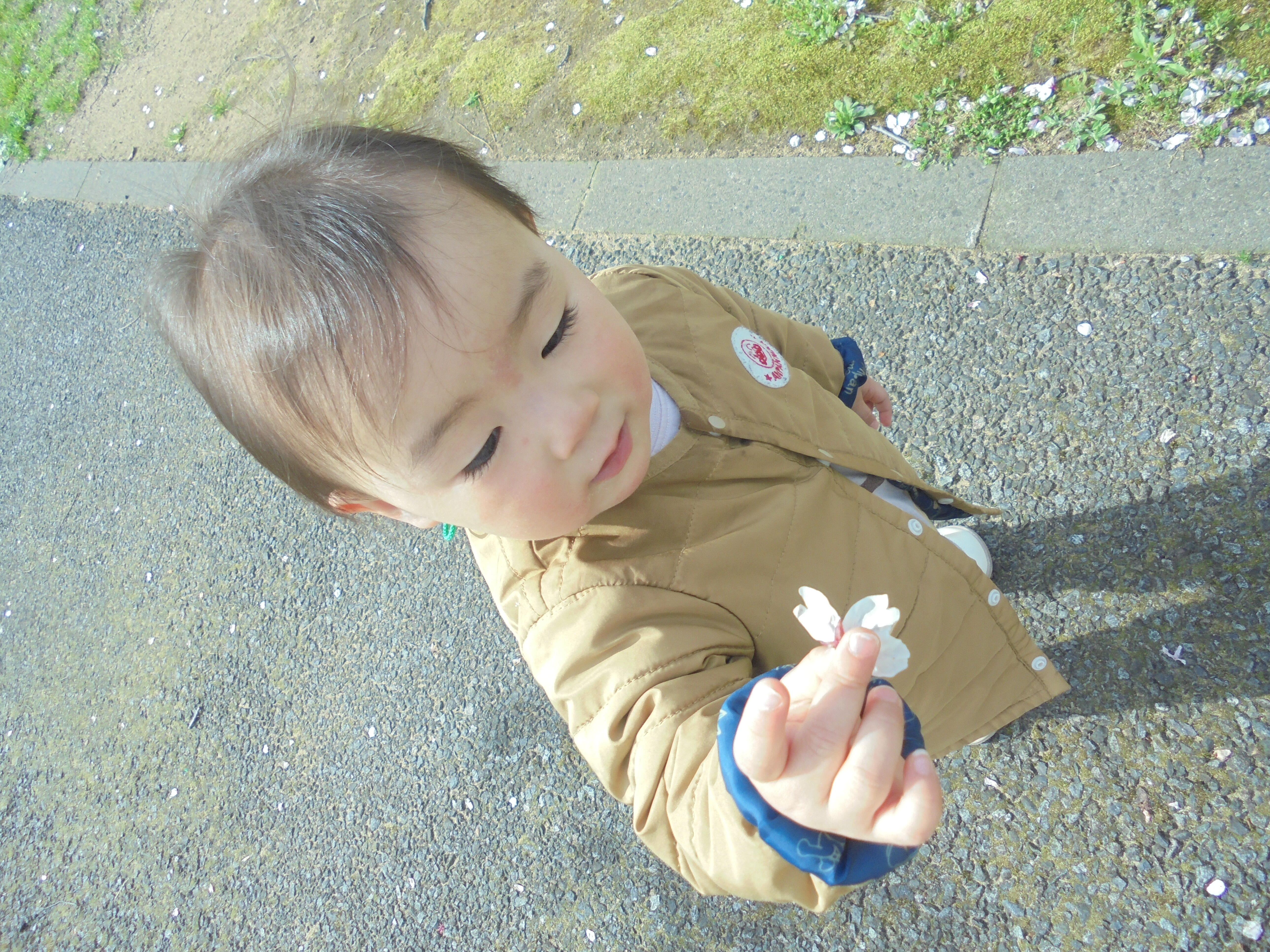 桜のお花み～つけた！