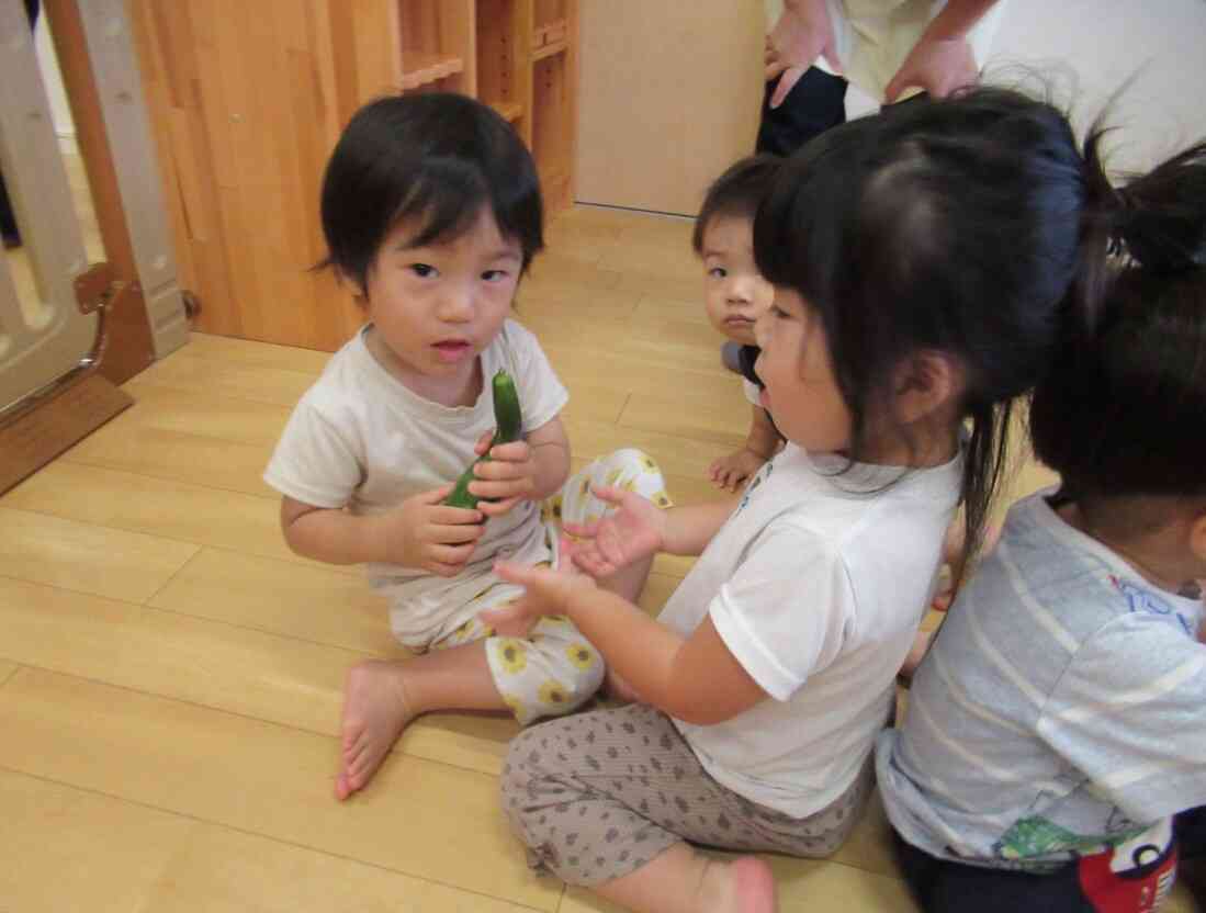キュウリがとれたよ！