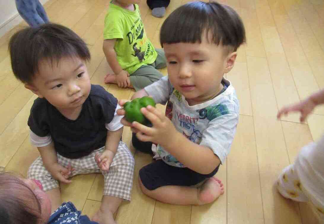 ピーマンがとれたよ！