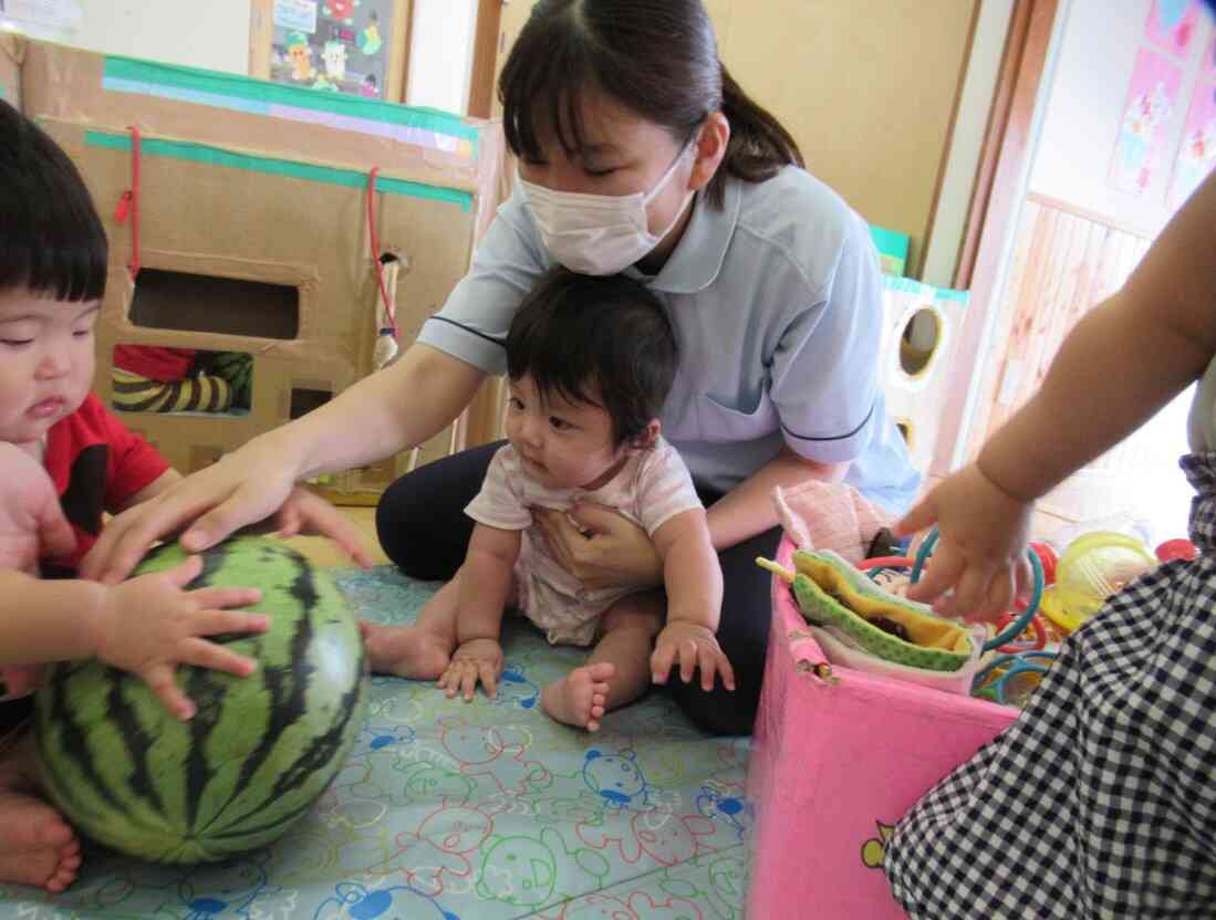 初めて見る大きなスイカ！さわってみようね。