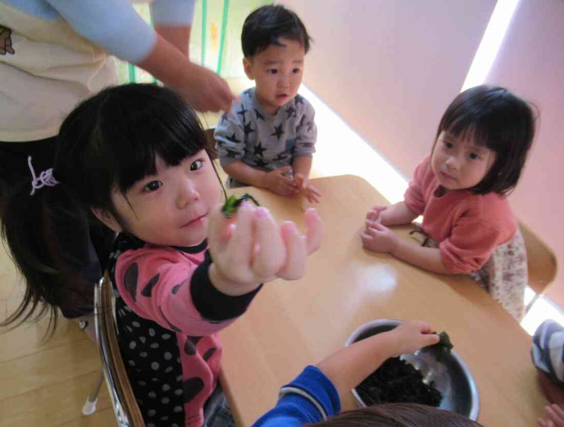 ワカメを触ったよ!