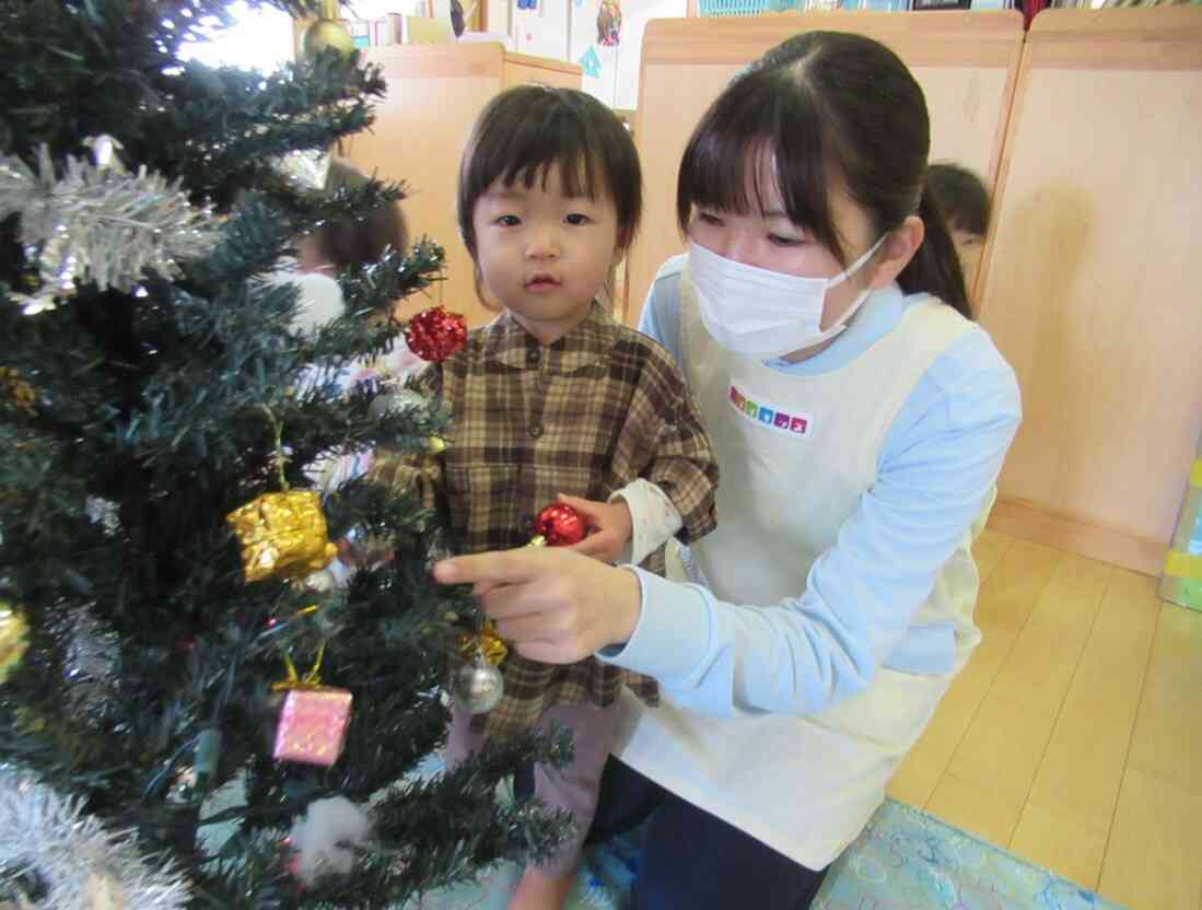 クリスマスツリーを飾ったよ!