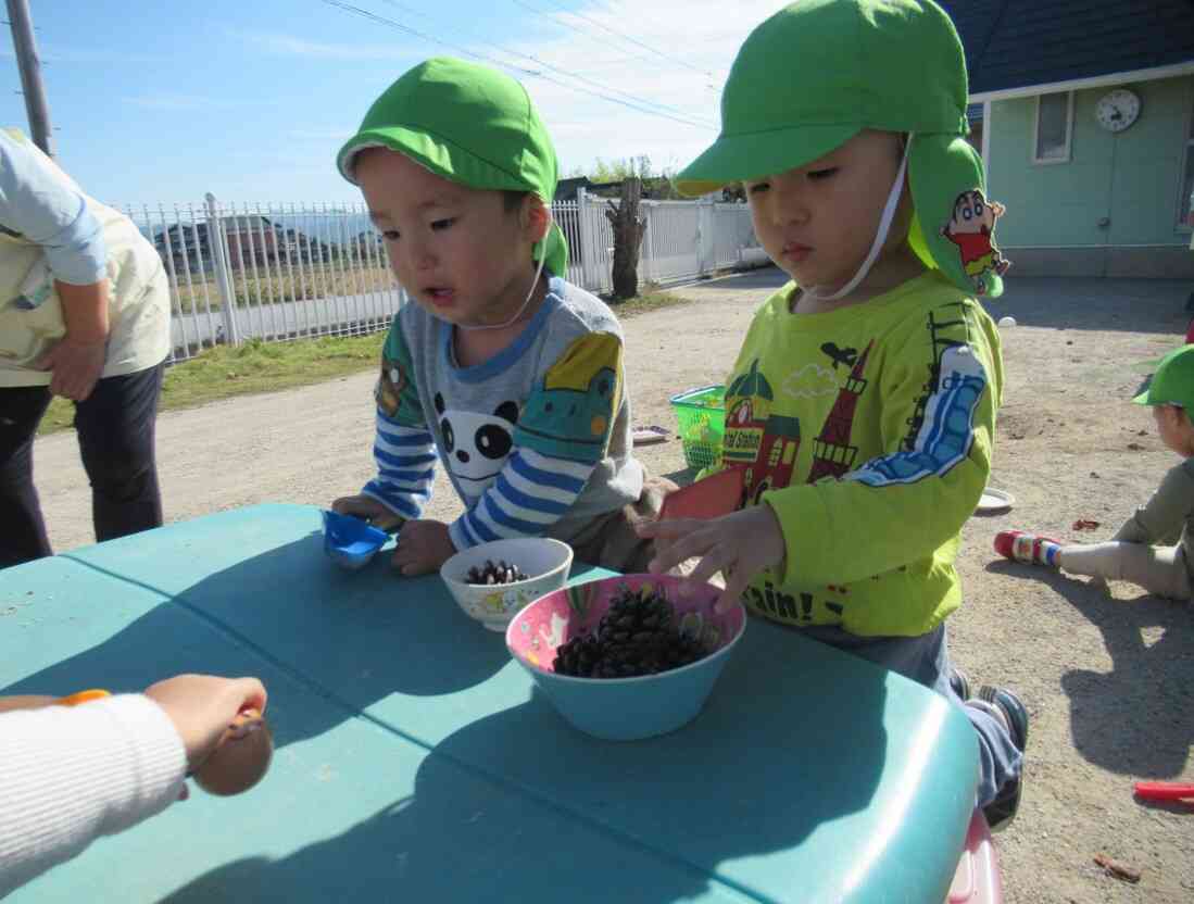 松ぼっくりがたくさん!いかがですか~。