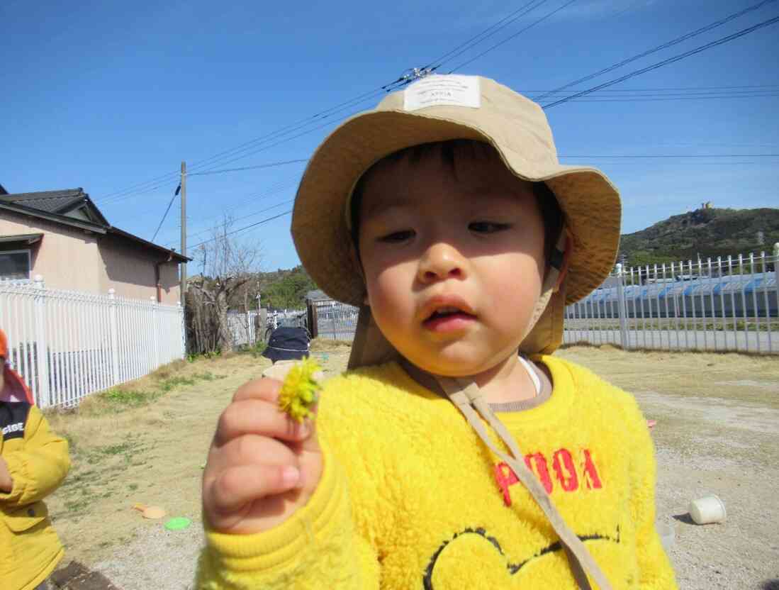 可愛いお花を見つけたよ！