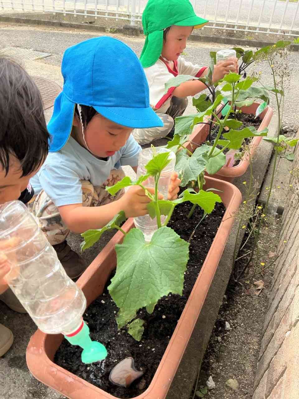水やりを頑張っているよ♪