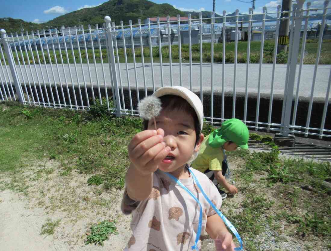 たんぽぽみーつけた！