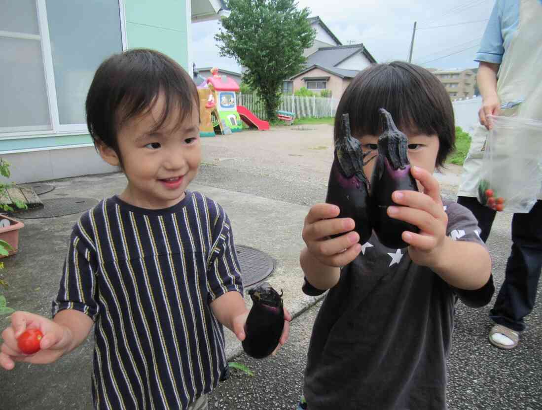 おナスとトマトがとれたよ!大きいね。