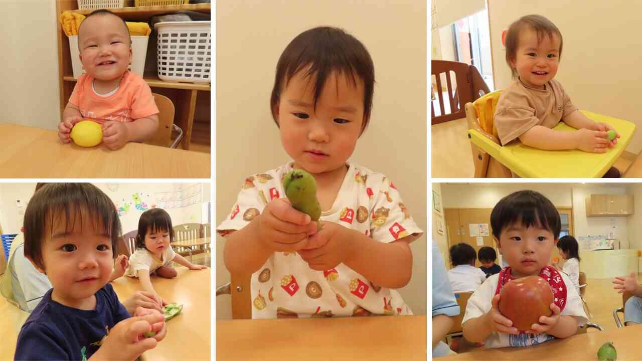 ~好きな野菜触ってみよう~ あひる組(1歳児)