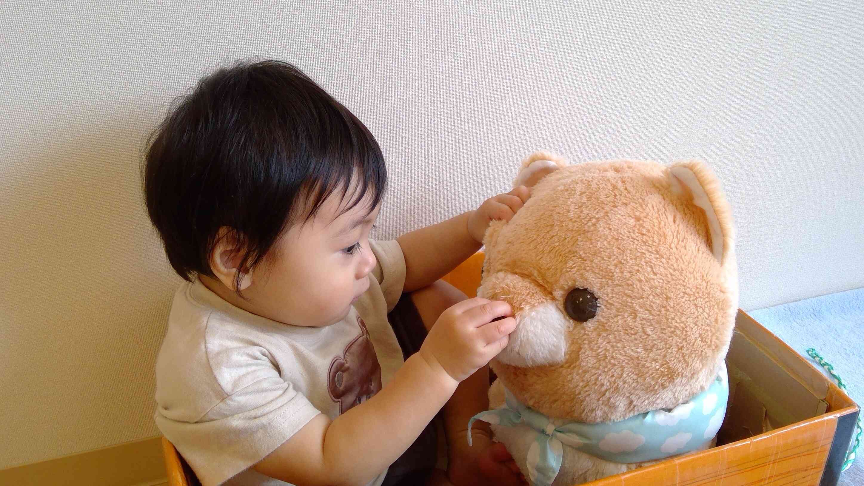 ワンちゃんのぬいぐるみと一緒にダンボールカーに入って、何かお話しているのかな？