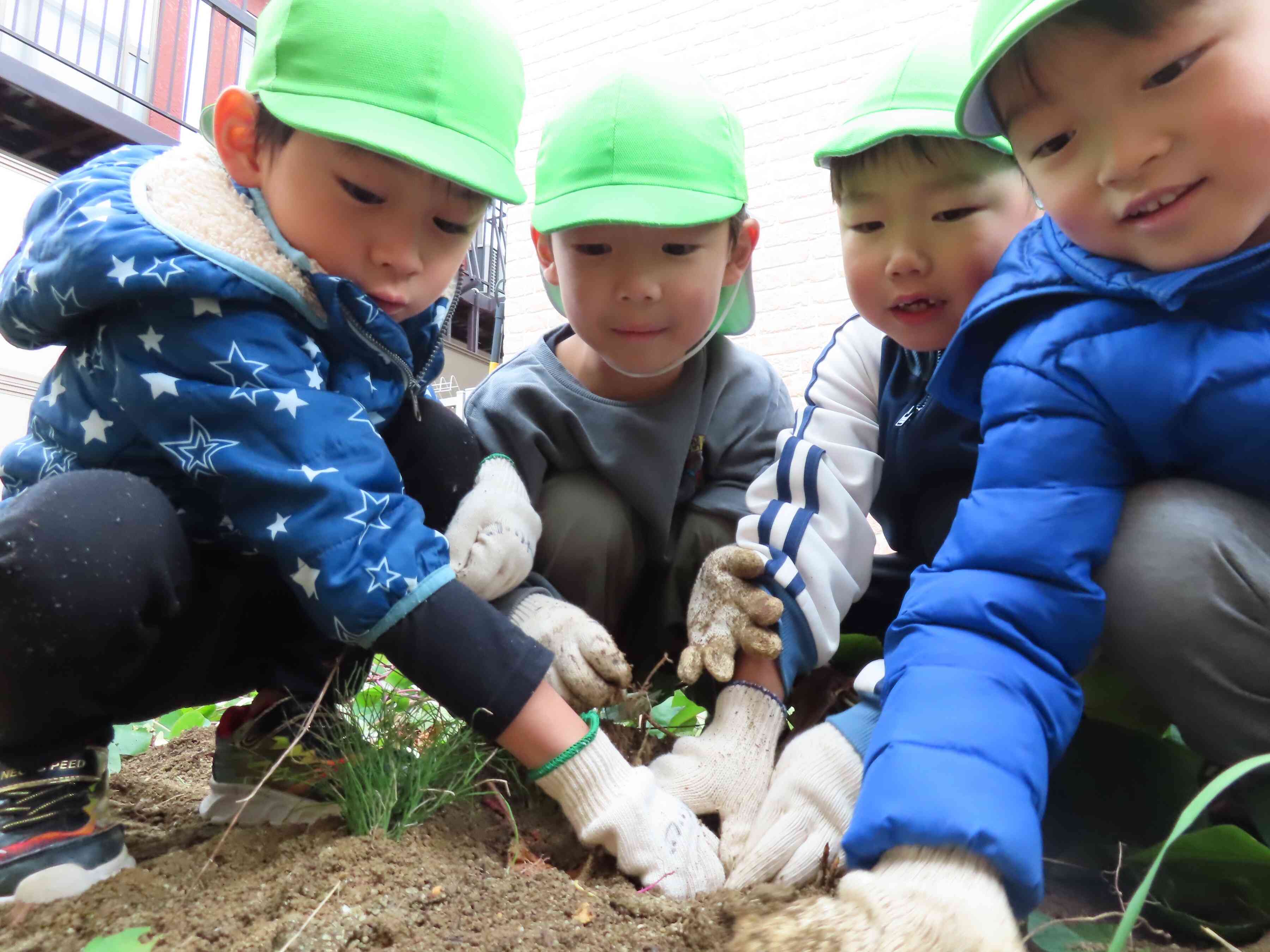 ここに大きなサツマイモが！