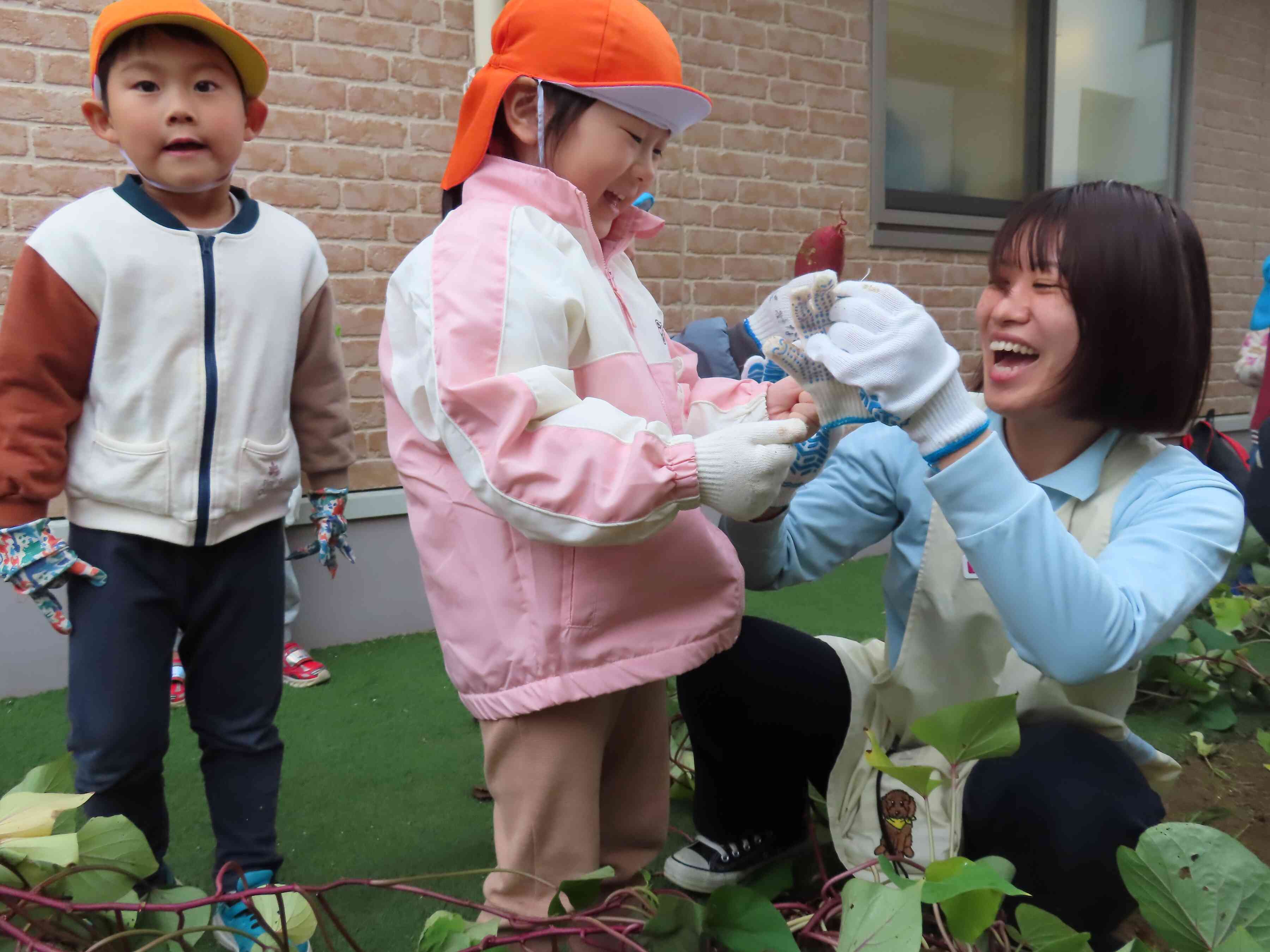大きなさつまいも見つけたよ