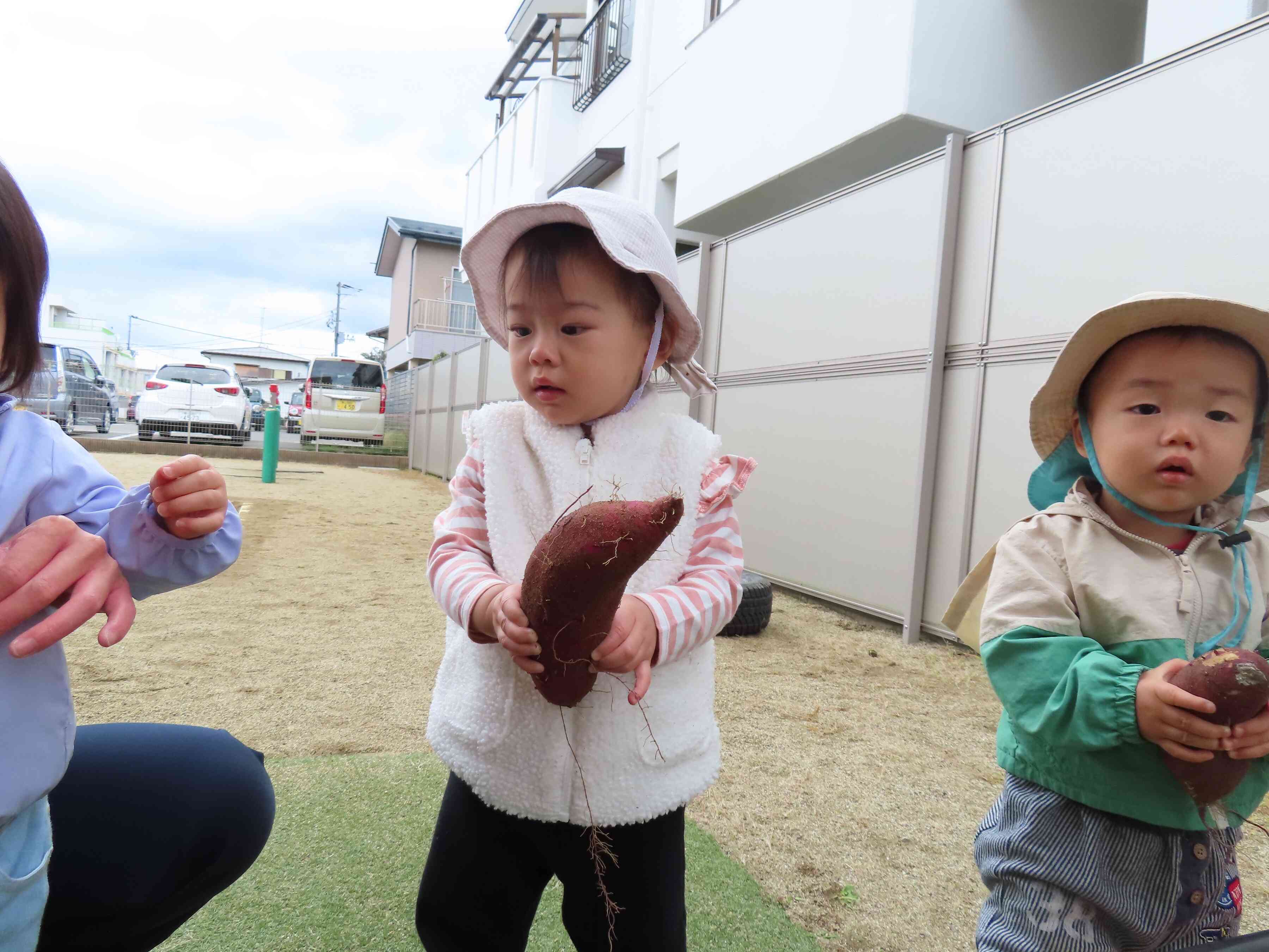 サツマイモ持ってみました